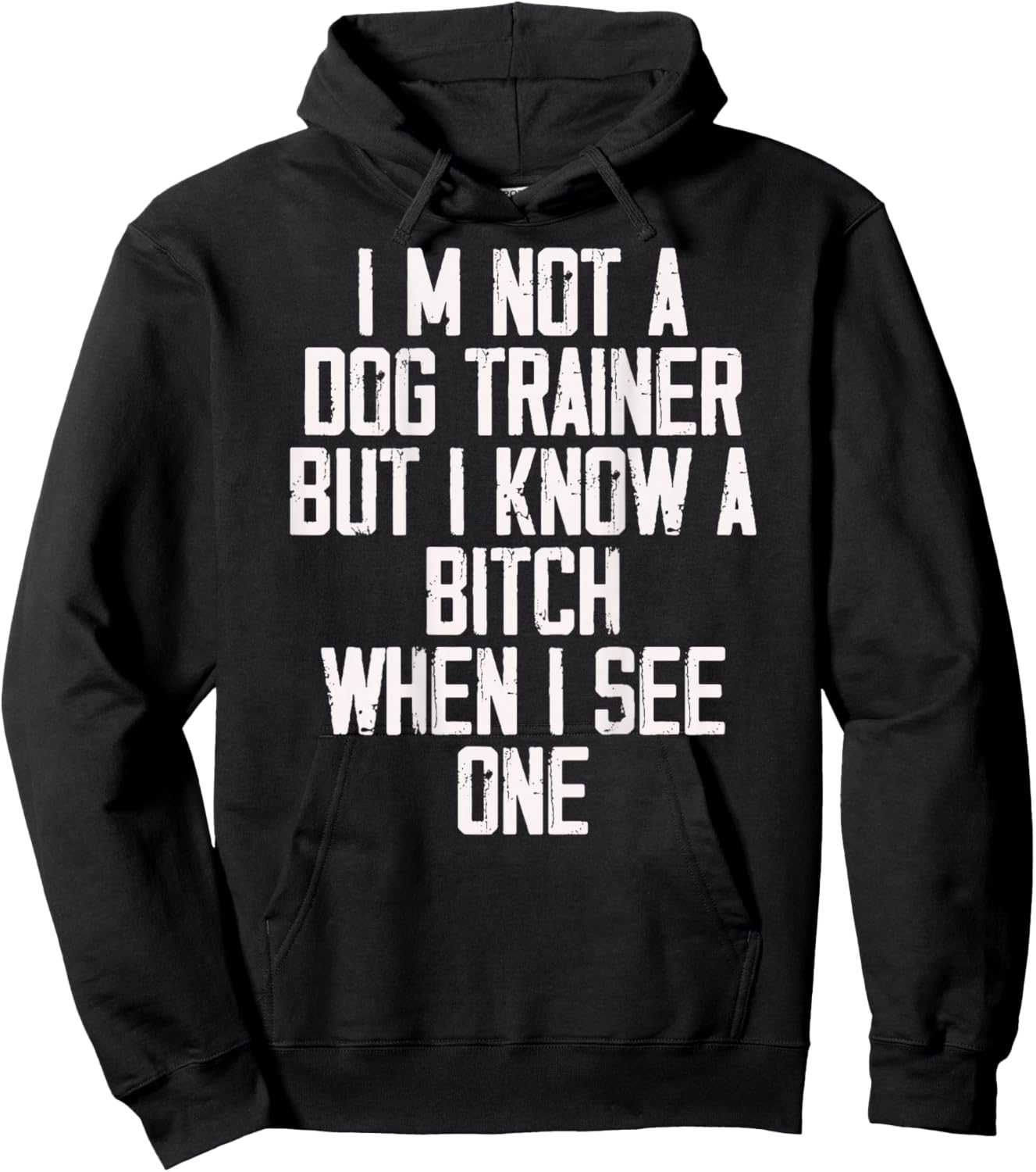 I'm Not A Dog Trainer But I Know A Bitch When I See One Hoodie - Hoodie | Black