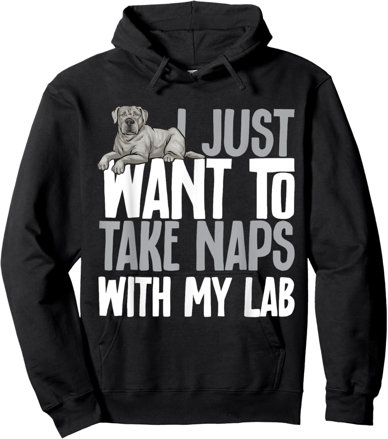 Silver Labrador Retriever Take Naps With My Lab Silver Lab Hoodie - Hoodie | Black