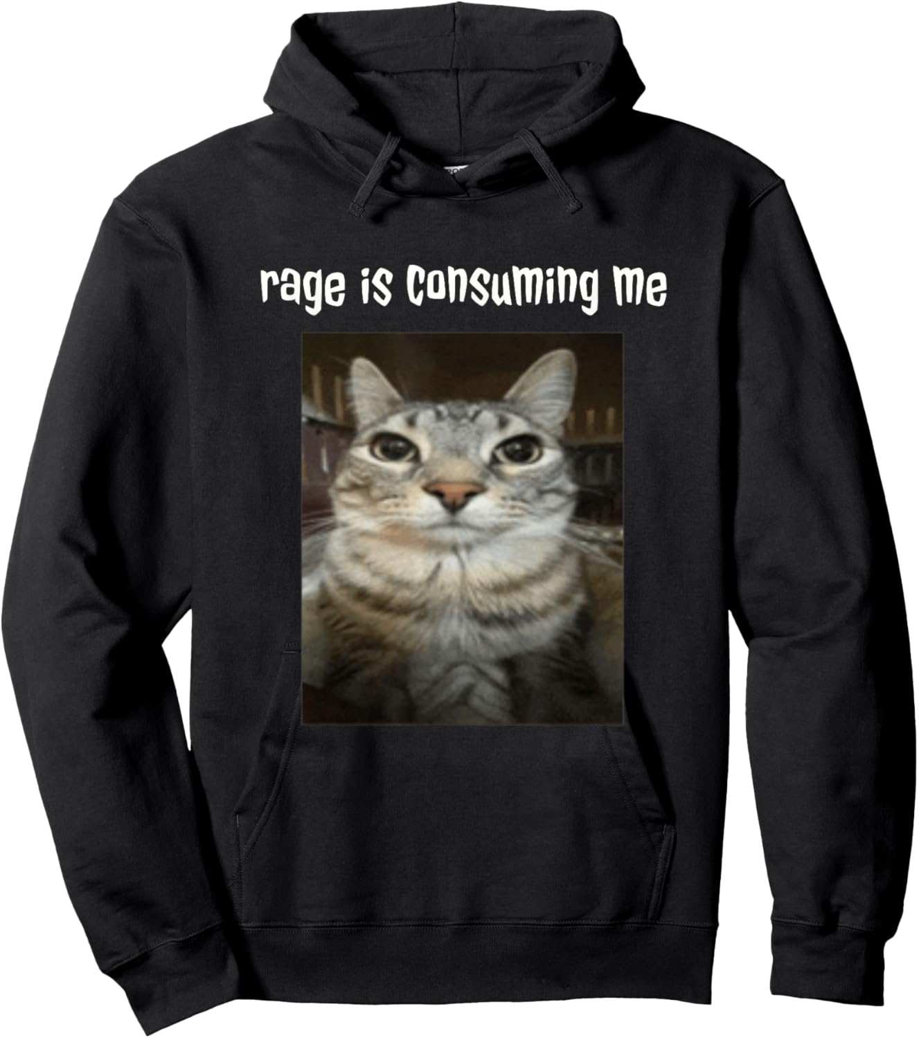 Silly Staring Cat Meme Rage Is Consuming Me Hoodie - Hoodie | Black