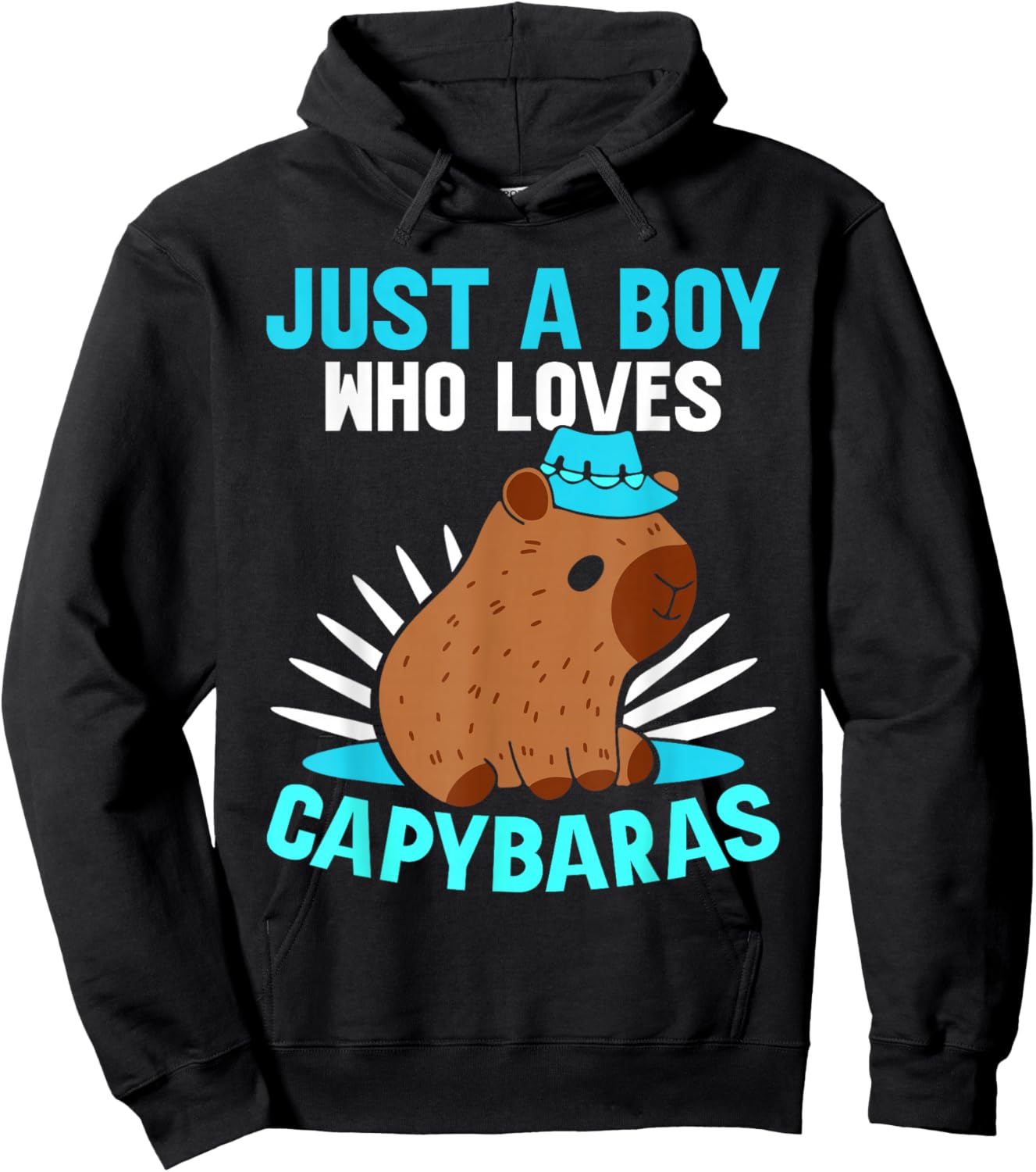 Just A Boy Who Loves Capybaras Lover Capybara Rodent Animal Hoodie - Hoodie | Black