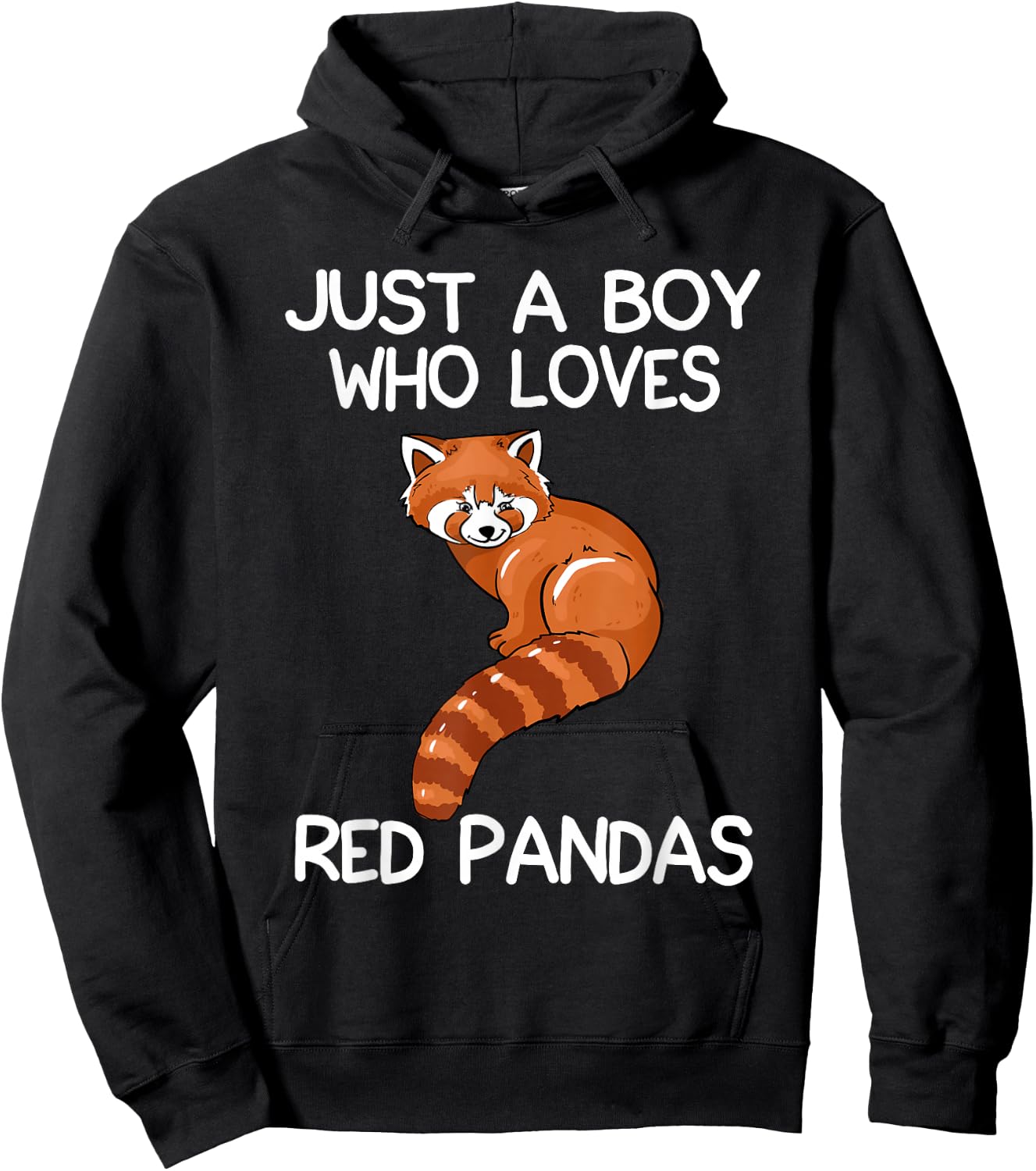 Just A Boy Who Loves Red Pandas Gift Red Panda Hoodie - Hoodie | Black