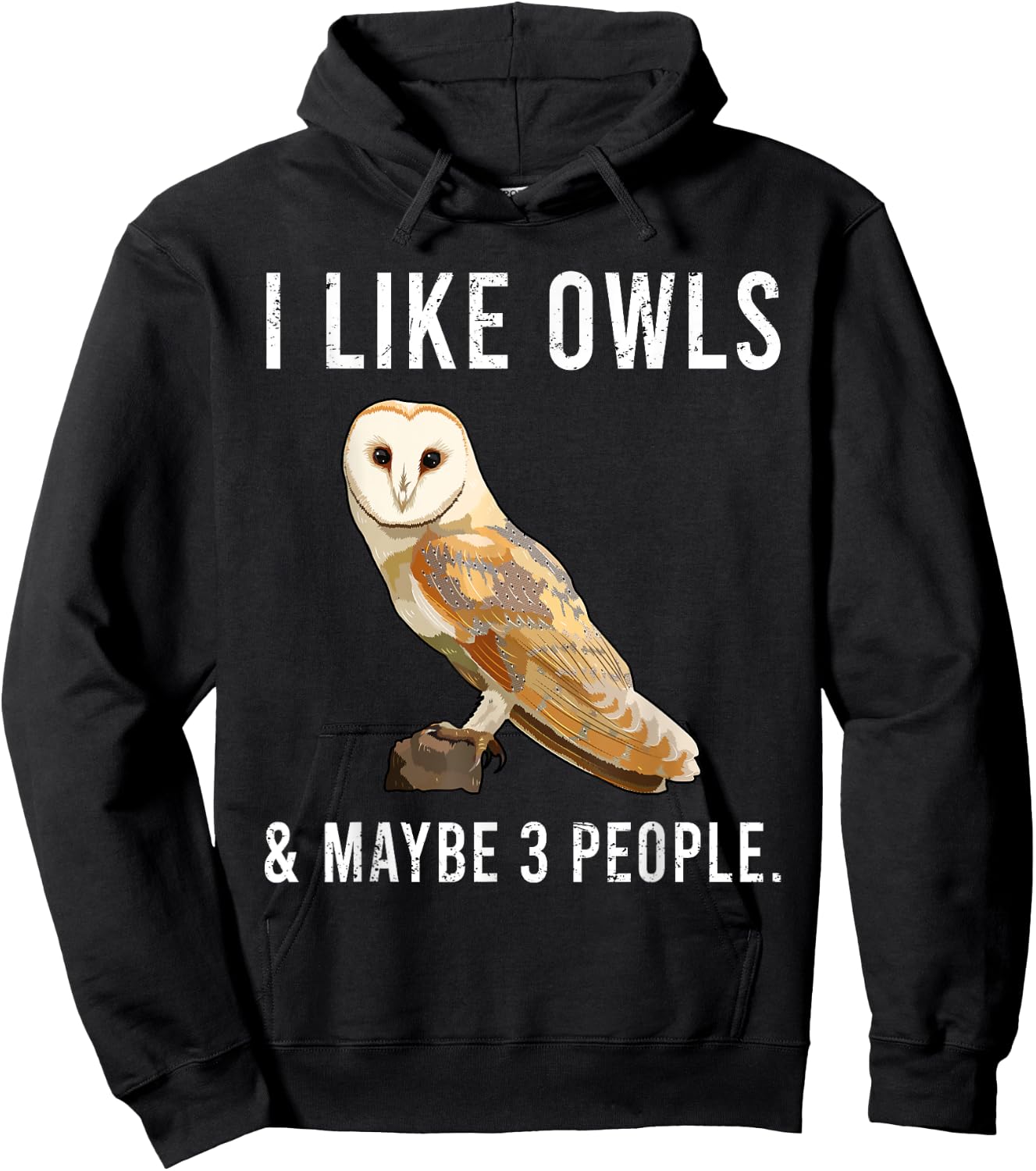 Funny I Like Barn Owls And Maybe 3 People Hoodie - Hoodie | Black
