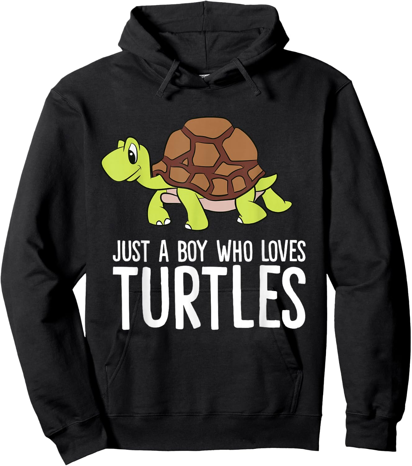 Just a Boy Who Loves Turtles Funny Turtle Hoodie - Hoodie | Black