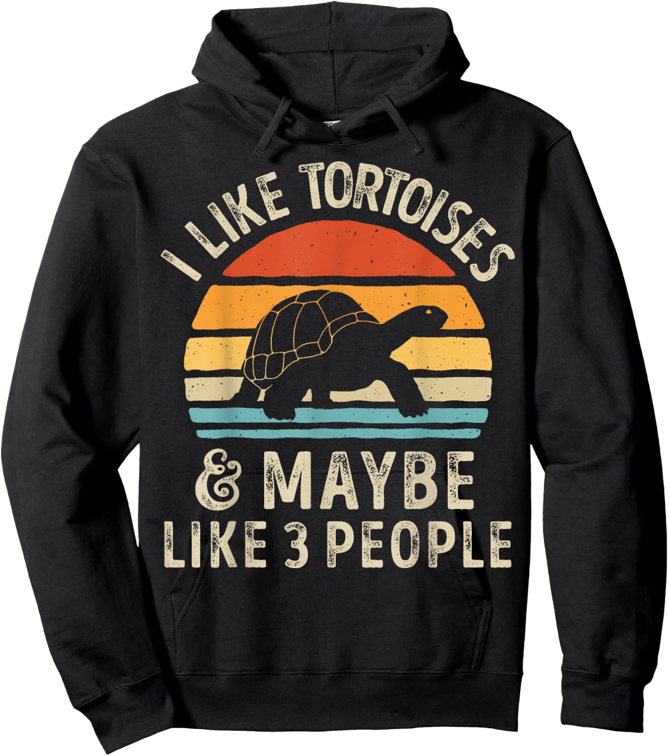 I Like Tortoises and Maybe 3 People Tortoise Turtle Reptile Hoodie - Hoodie | Black