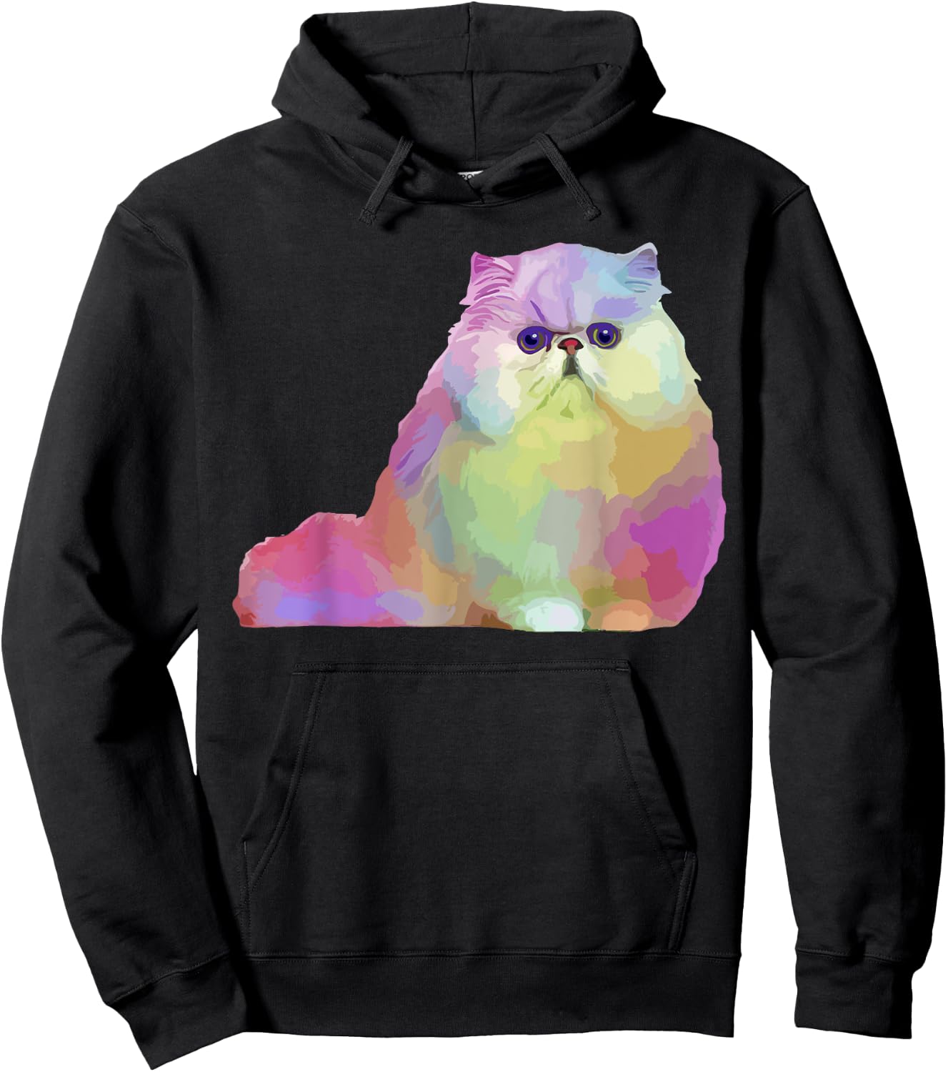 Cat Lover Gifts Persian Cat Colorful Persian Cat Hoodie - Hoodie | Black