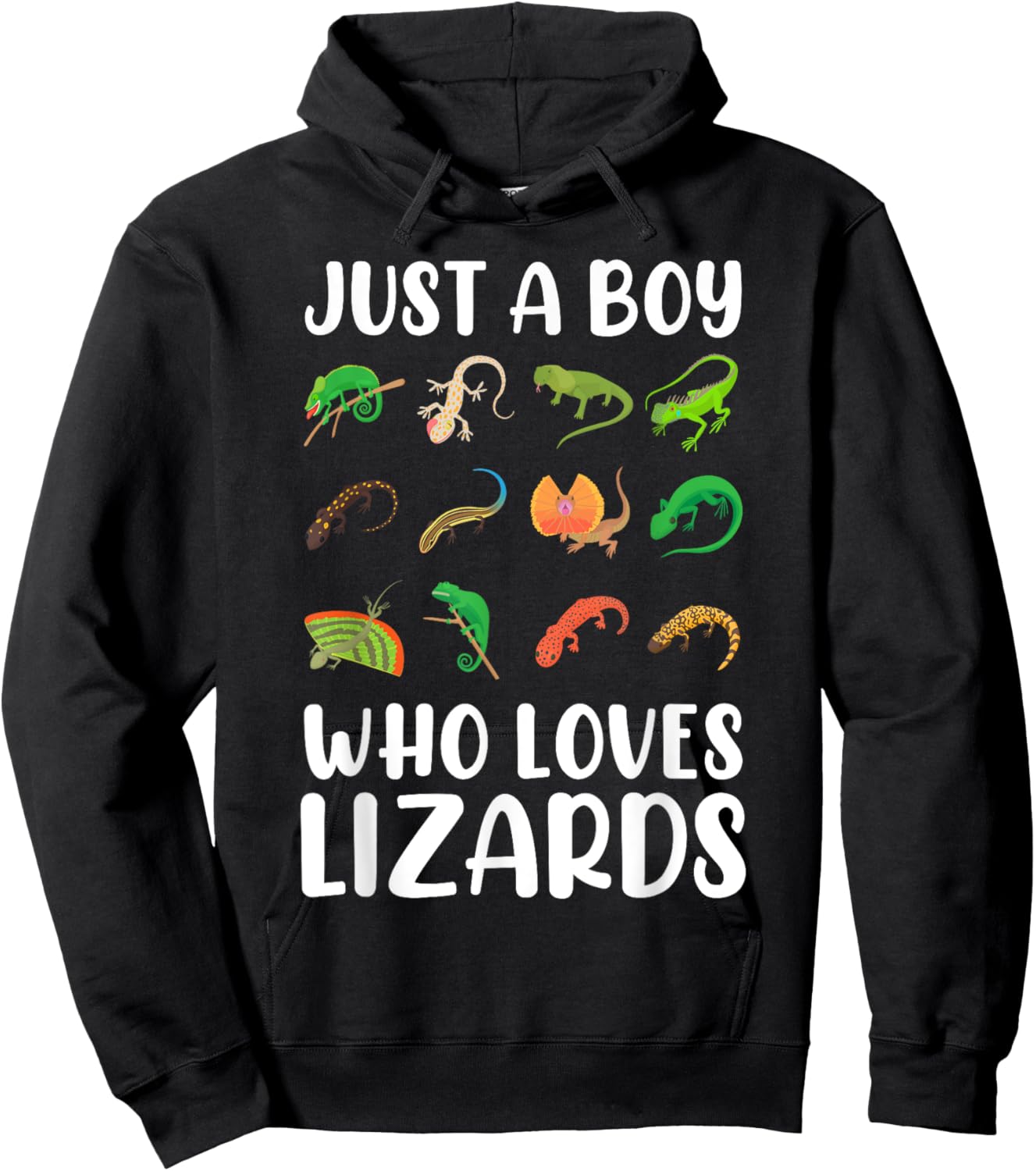 Reptile Kids Lizard Just A Boy Who Loves Lizards Hoodie - Hoodie | Black