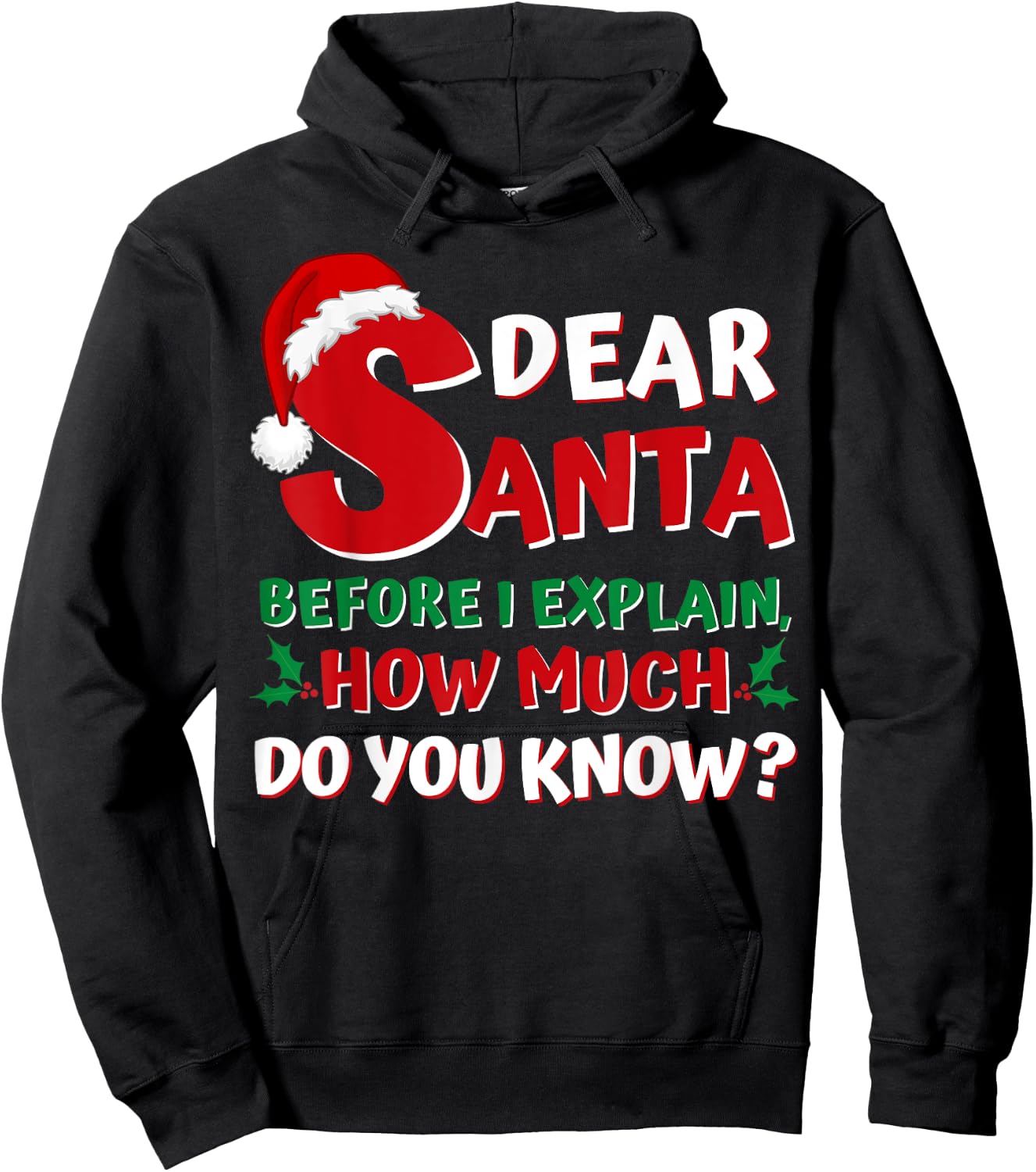 2024 Funny Christmas Shirts Kids Adults Santa I Can Explain Hoodie - Hoodie | Black