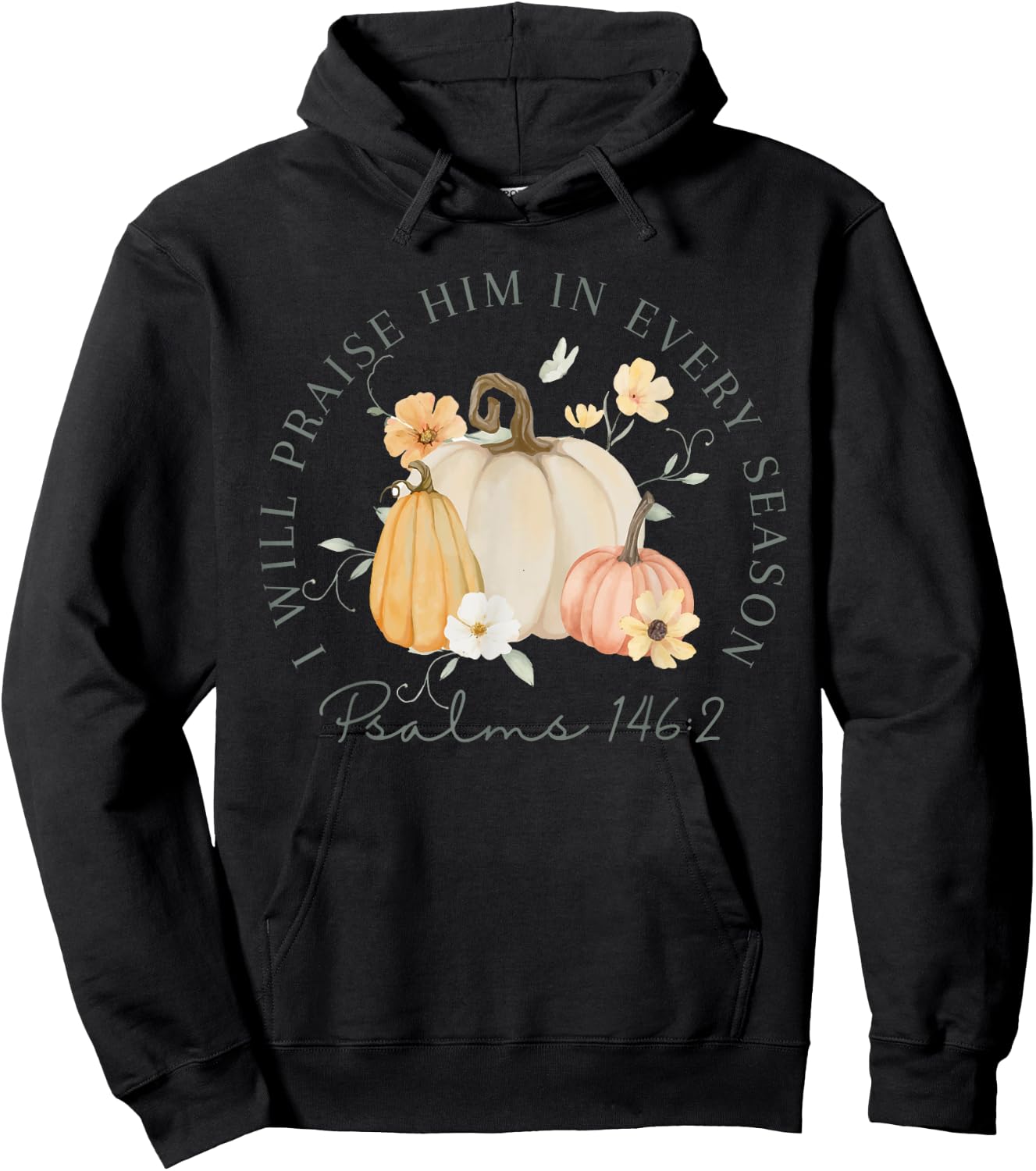 Fall Thanksgiving Pumpkin I Will Praise Him In Every Season Hoodie - Hoodie | Black