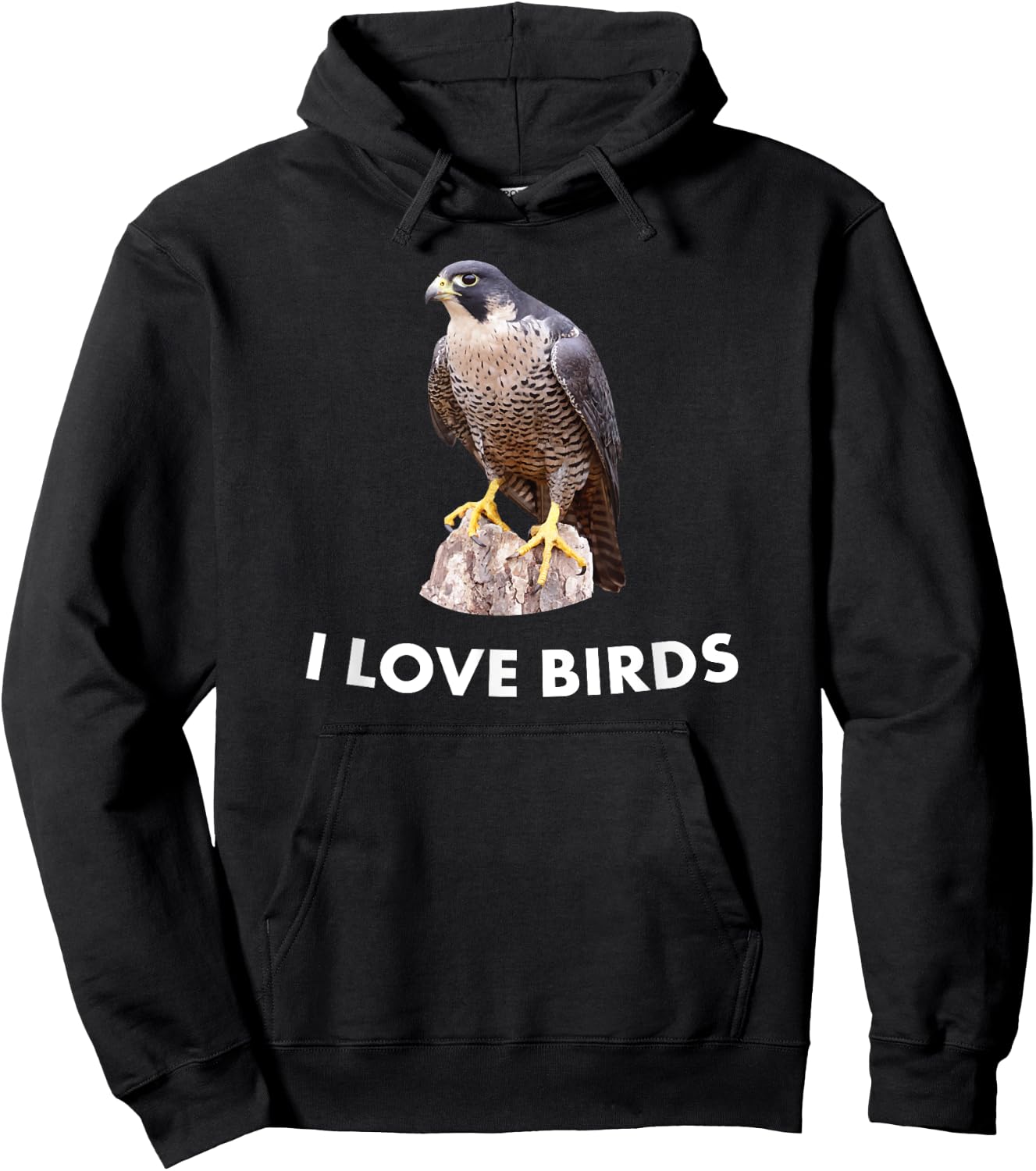 Peregrine Falcon Bird Birding Gift Hoodie - Hoodie | Black