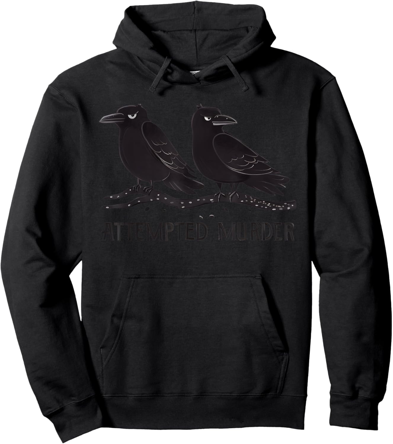 Attempted Murder Funny Crow Lover Hoodie - Hoodie | Black