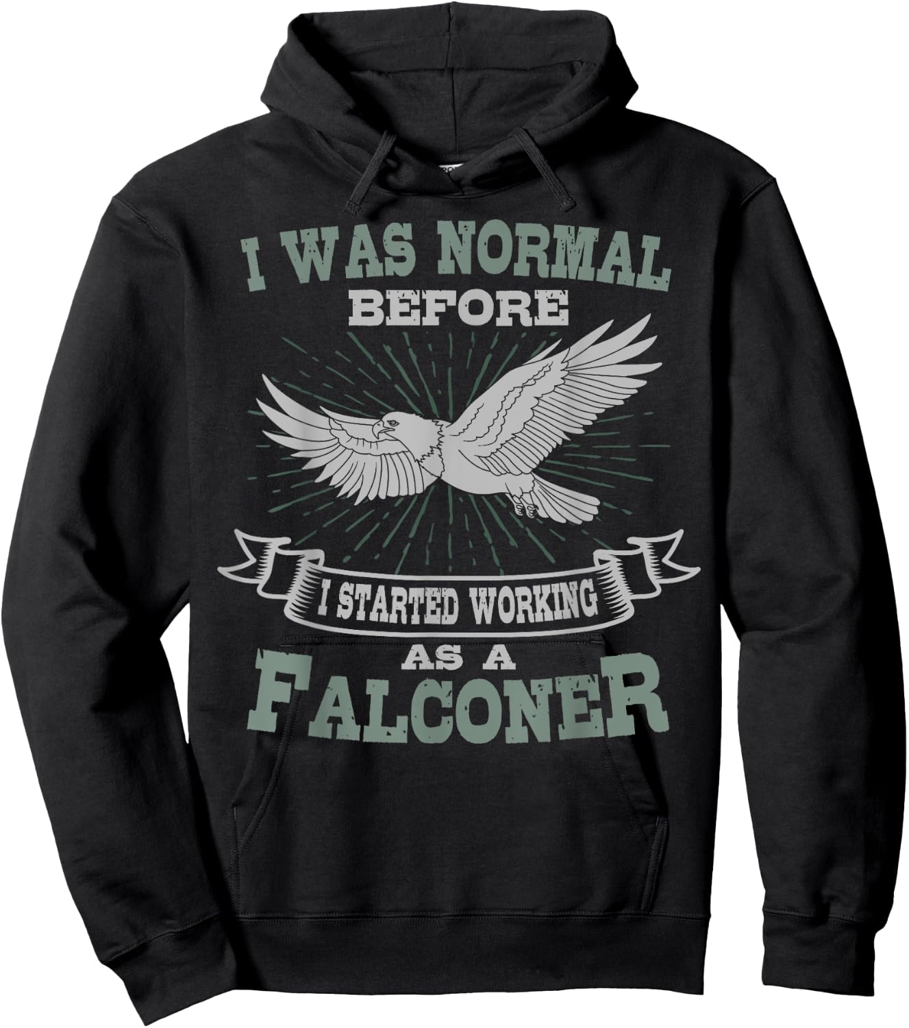 Falconer Falconry Gamehawking Falcon Hawker I Was Normal Hoodie - Hoodie | Black