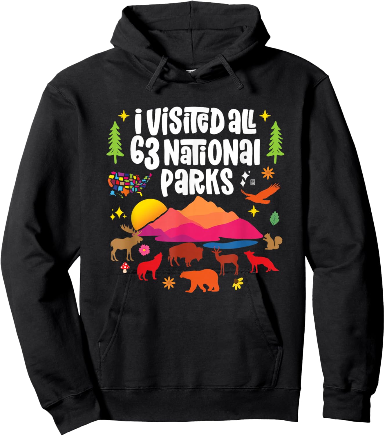 I Visited All 63 National Parks Hoodie - Hoodie | Black