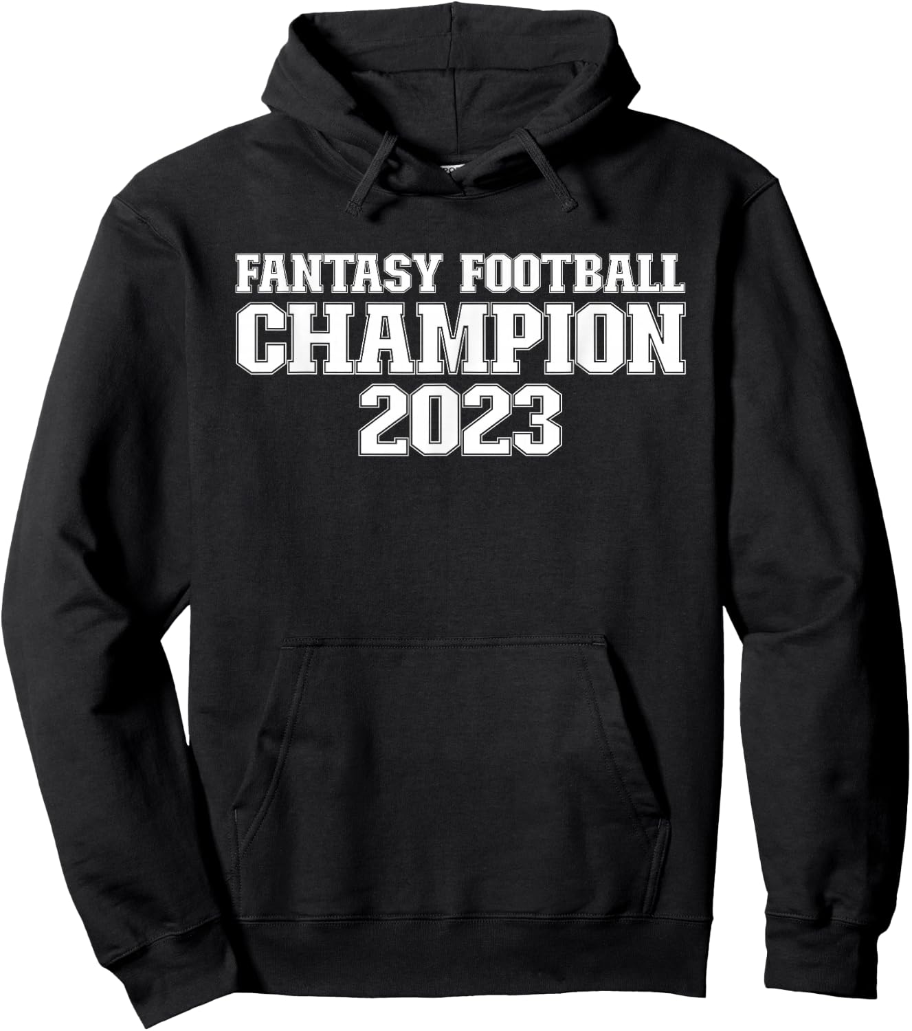 Fantasy Football Champion 2023 Fantasy Football 2023 Hoodie - Hoodie | Black