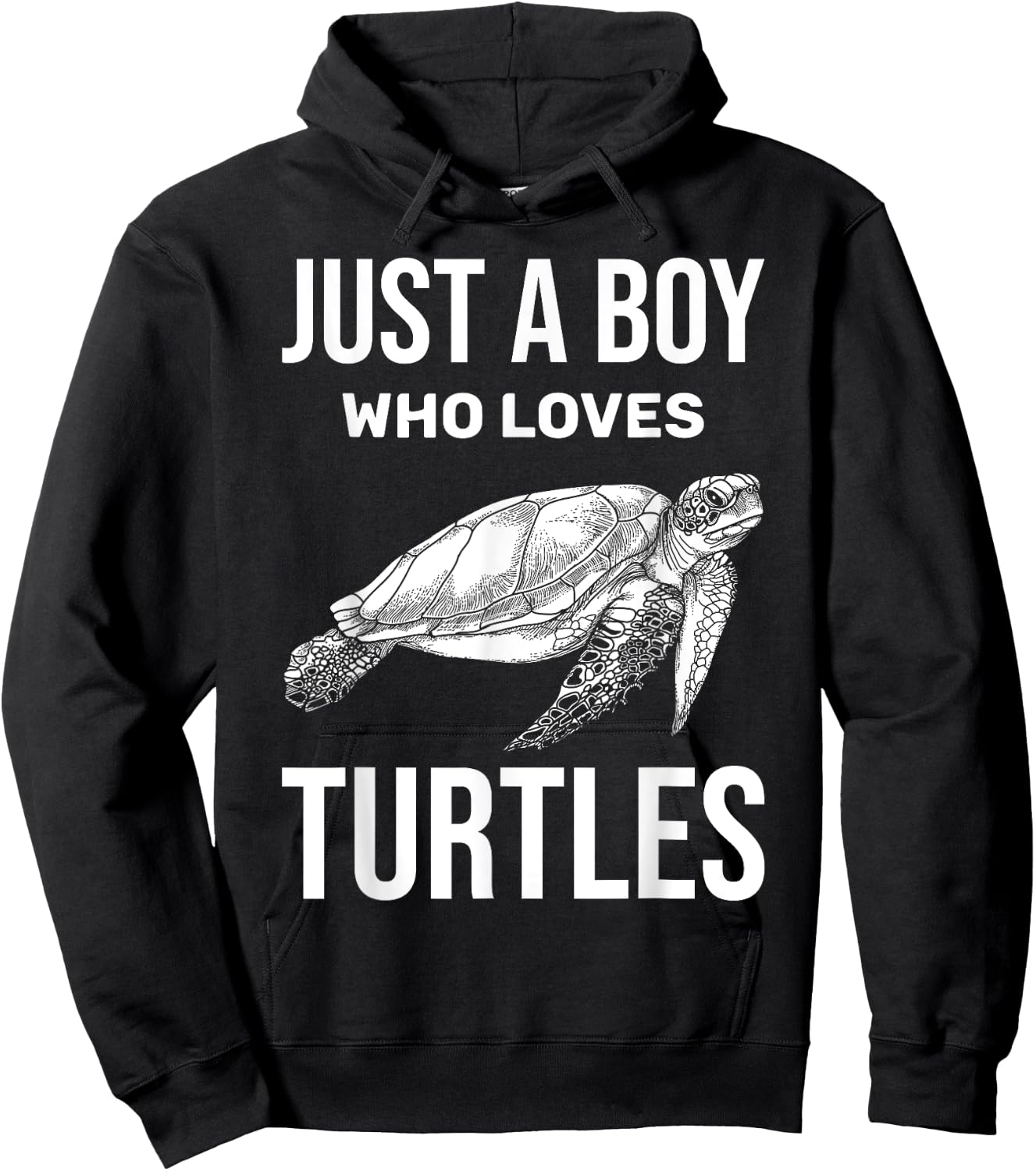 Just A Boy Who Loves Turtles Zoo Keeper Boys Gift Sea Turtle Hoodie - Hoodie | Black