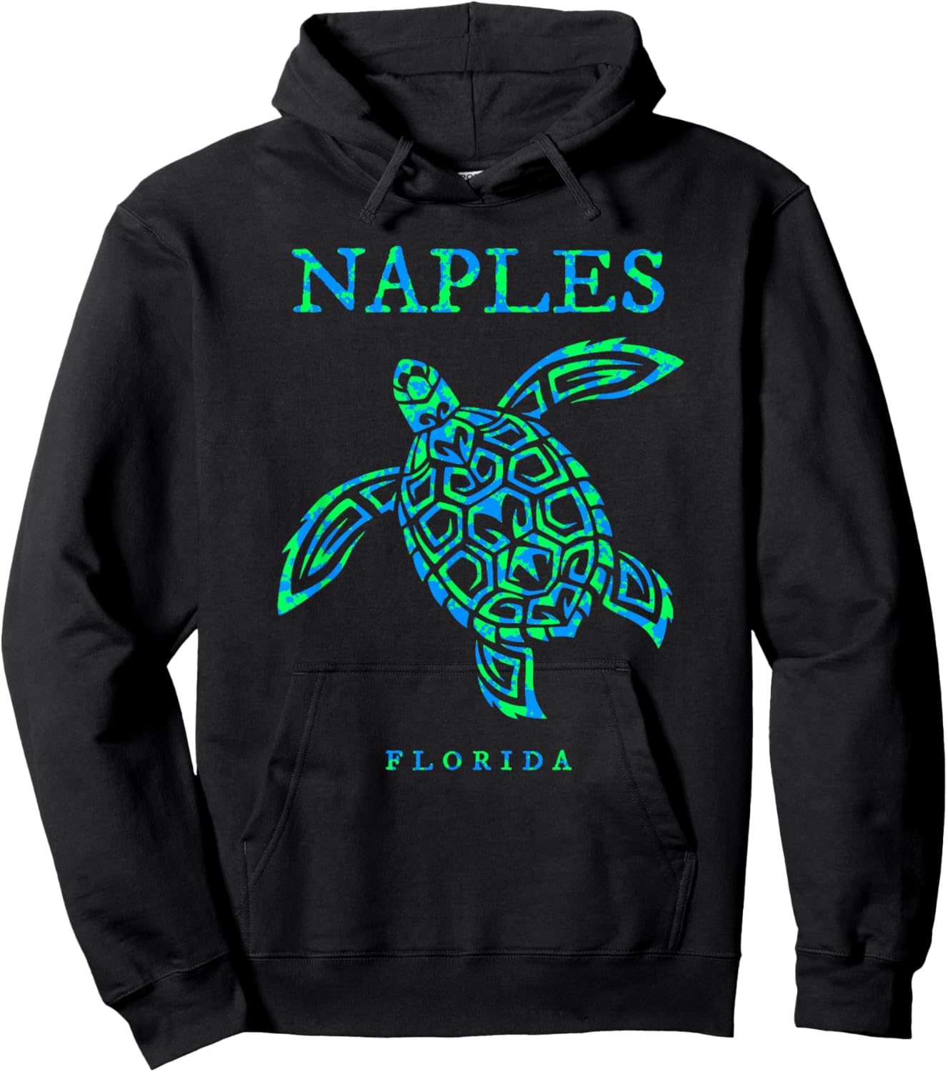 Naples Florida Sea Turtle Boys Girls Toddler Hoodie - Hoodie | Black