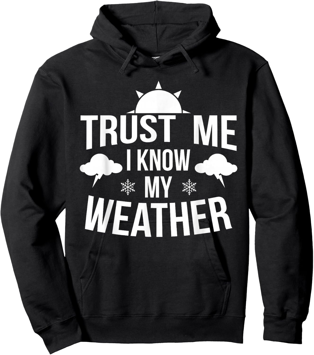 Weather Meteorologist Gift Forecaster Weatherman Climate Fun Hoodie - Hoodie | Black