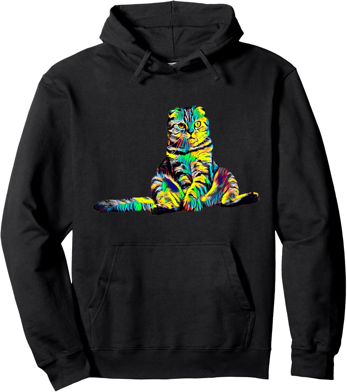 Scottish Fold Cat Men Women Girls Kids Hoodie - Hoodie | Black