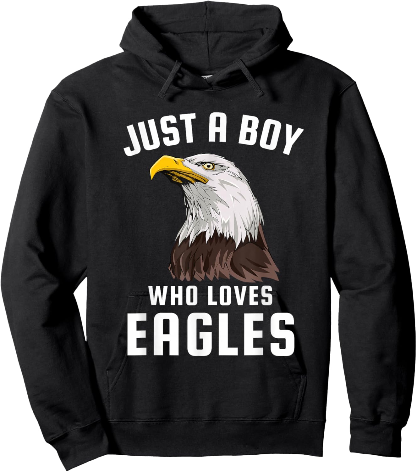 Just a Boy Who Loves Eagles Hoodie - Hoodie | Black