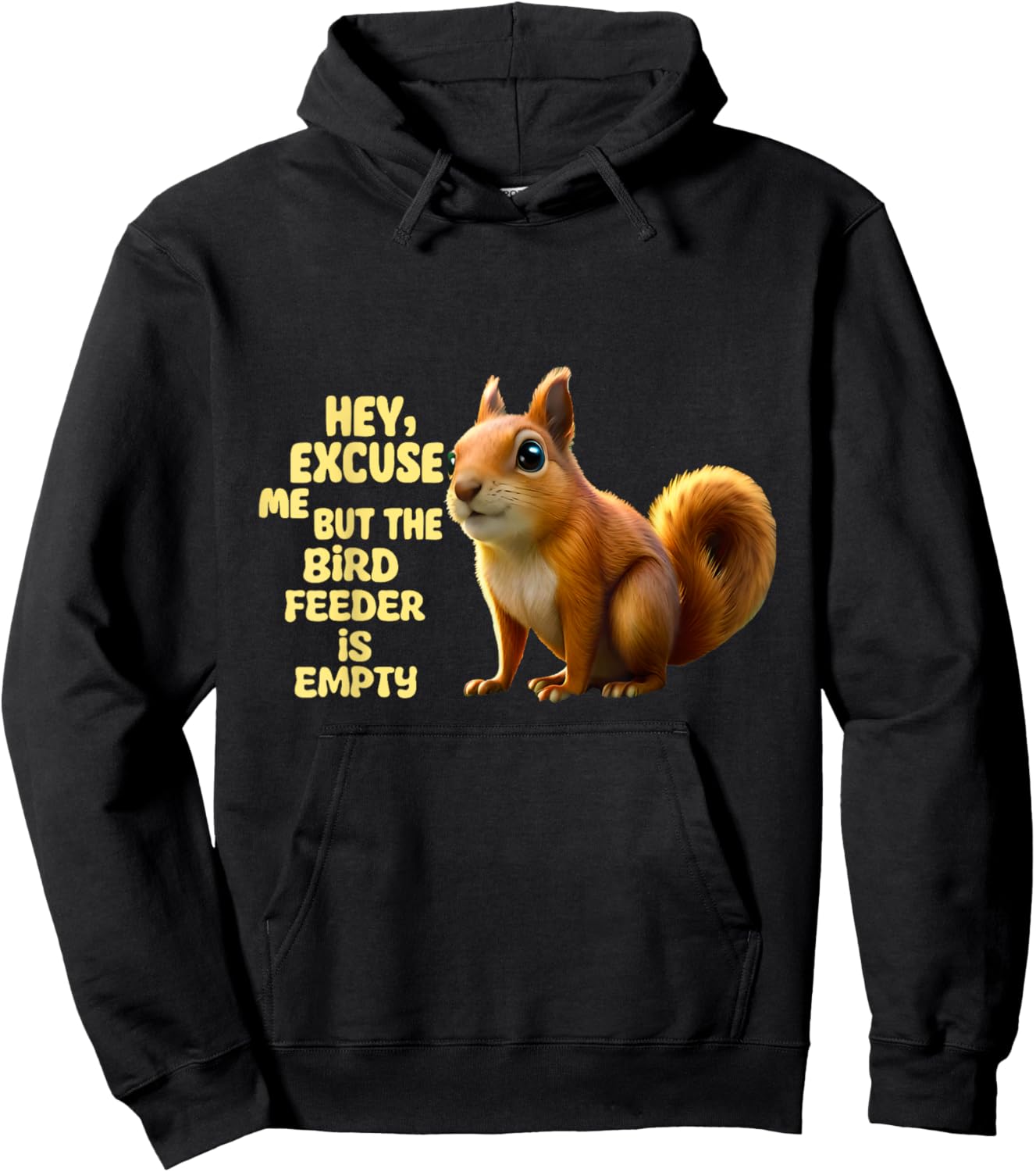 Hey Excuse Me But The Bird Feeder Is Empty, Funny Squirrel Hoodie - Hoodie | Black