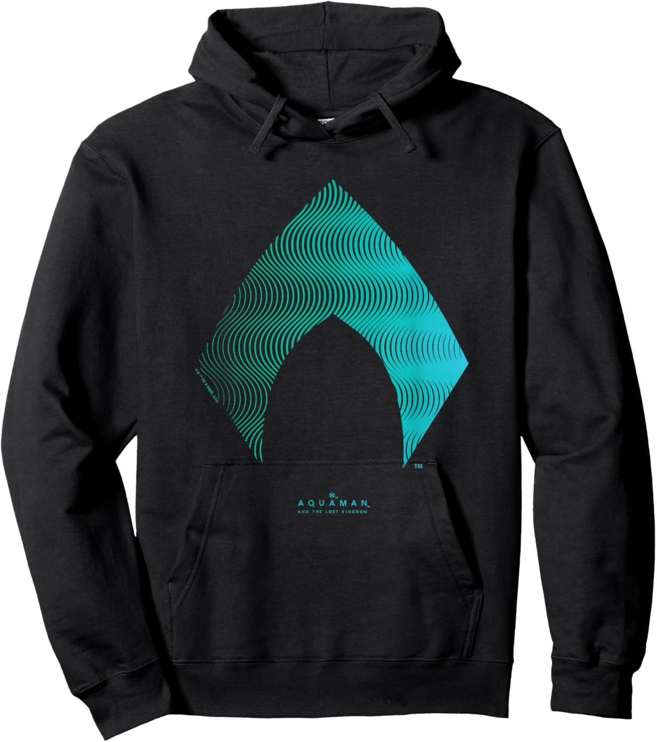 Aquaman And The Lost Kingdom Distressed Wavy Neon Emblem Hoodie - Hoodie | Black