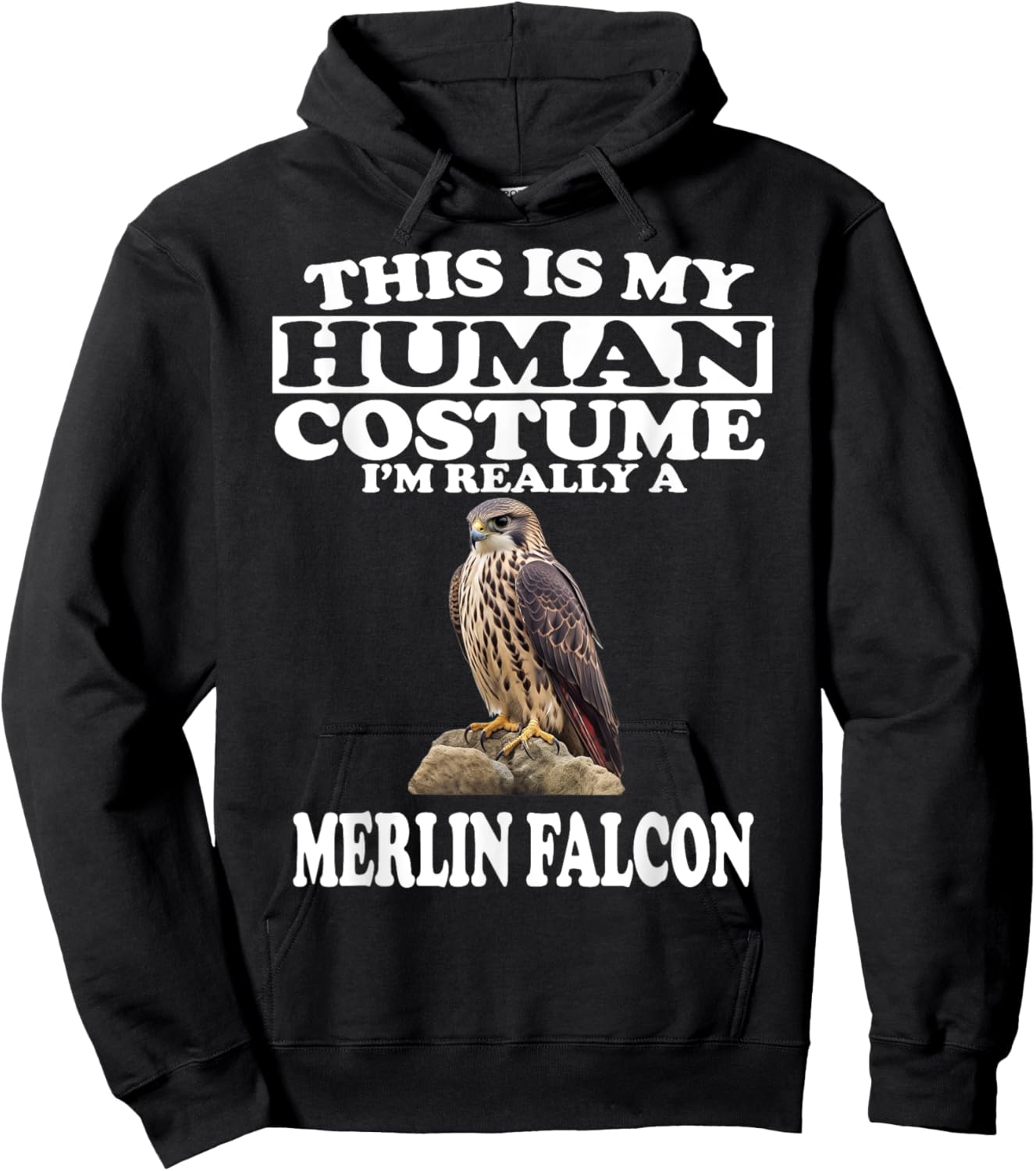 This is My Human Costume I'm Really A Merlin Falcon Hoodie - Hoodie | Black