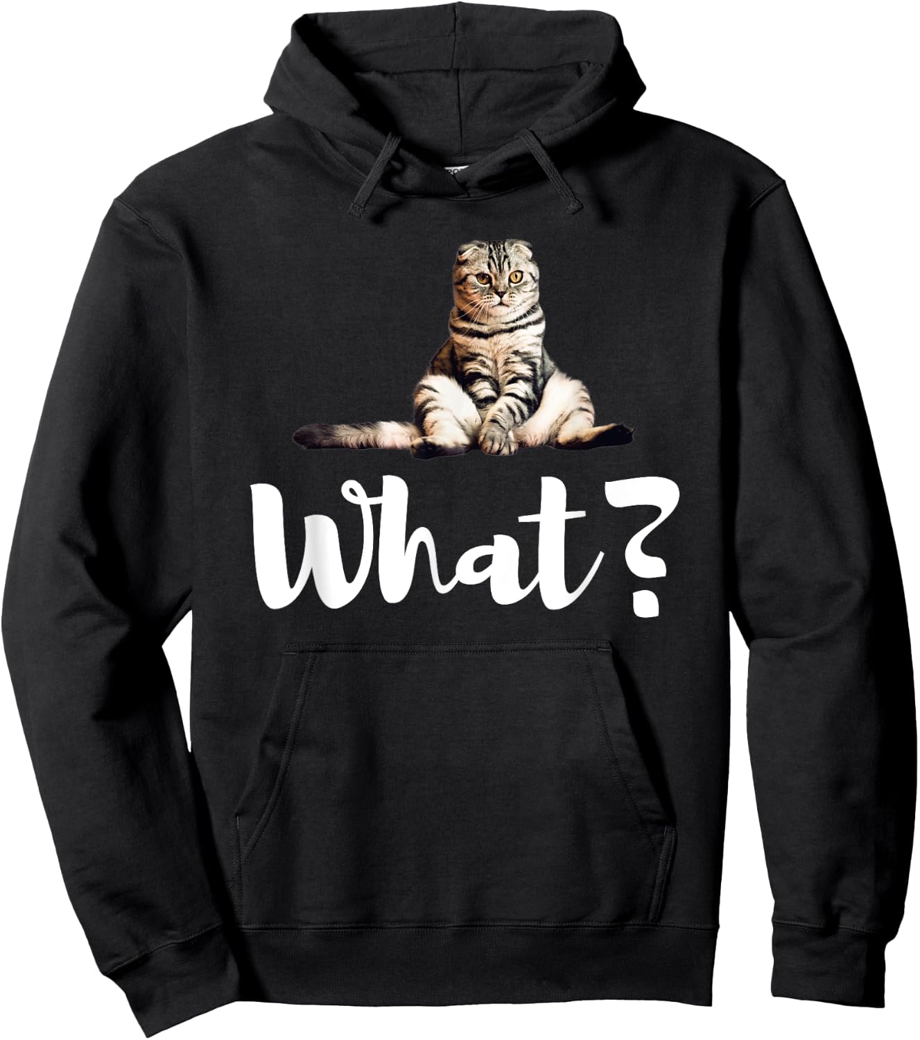 Scottish Fold Cats Funny What Cute Kitten Gifts Hoodie - Hoodie | Black