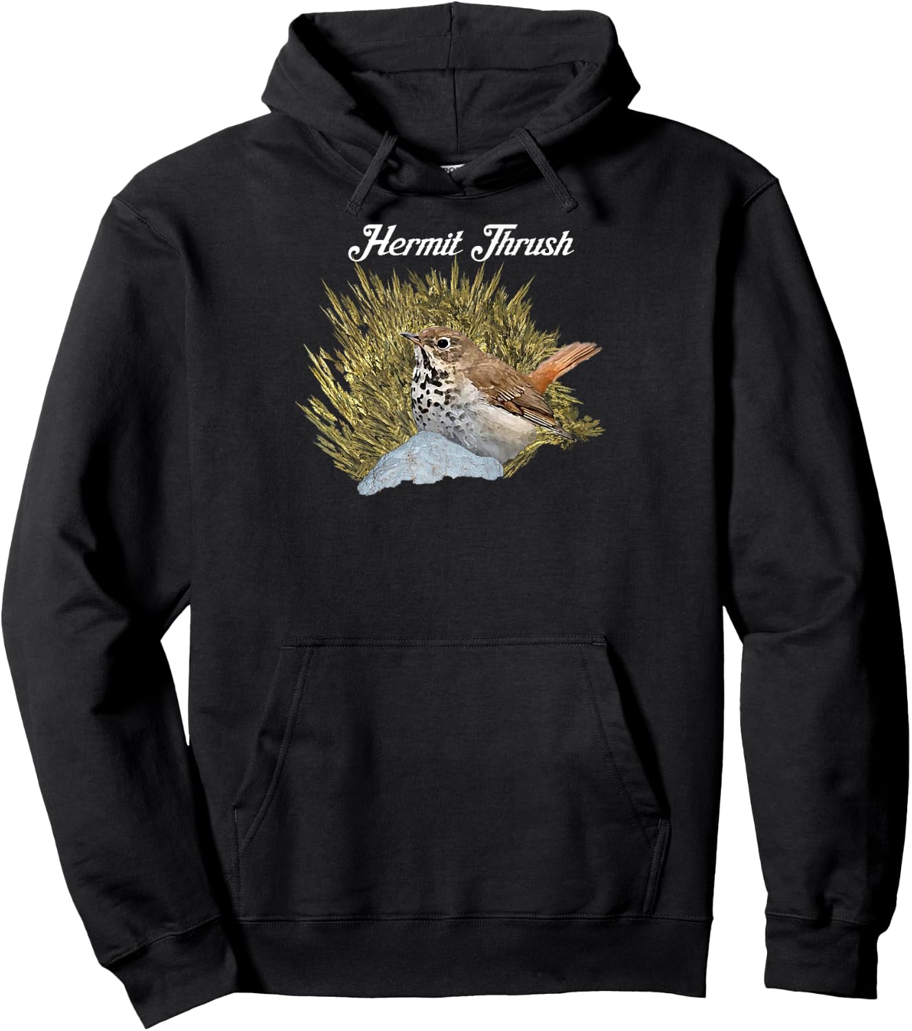 Hermit Thrush. Fractal. Hoodie - Hoodie | Black