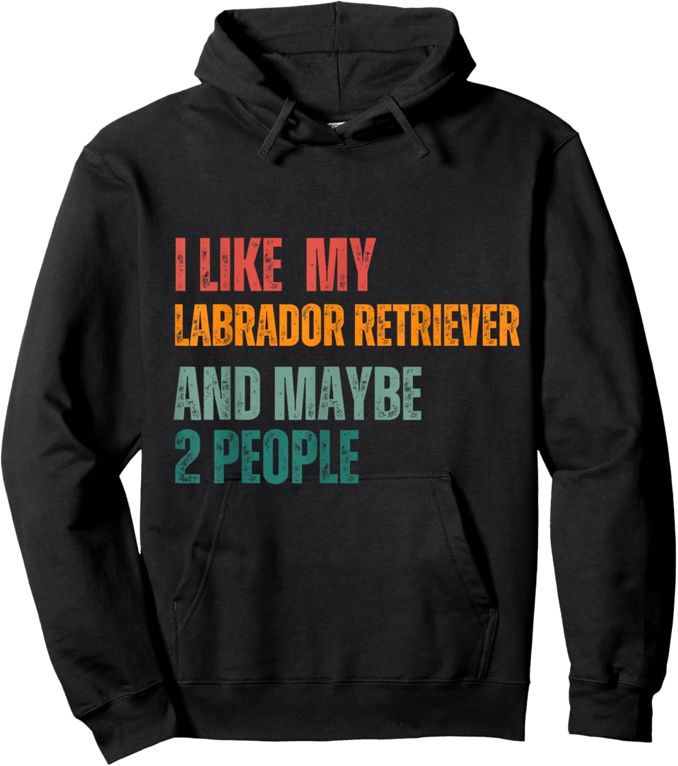I Like my Labrador retriever & Maybe 2 People Dogs Lover Hoodie - Hoodie | Black
