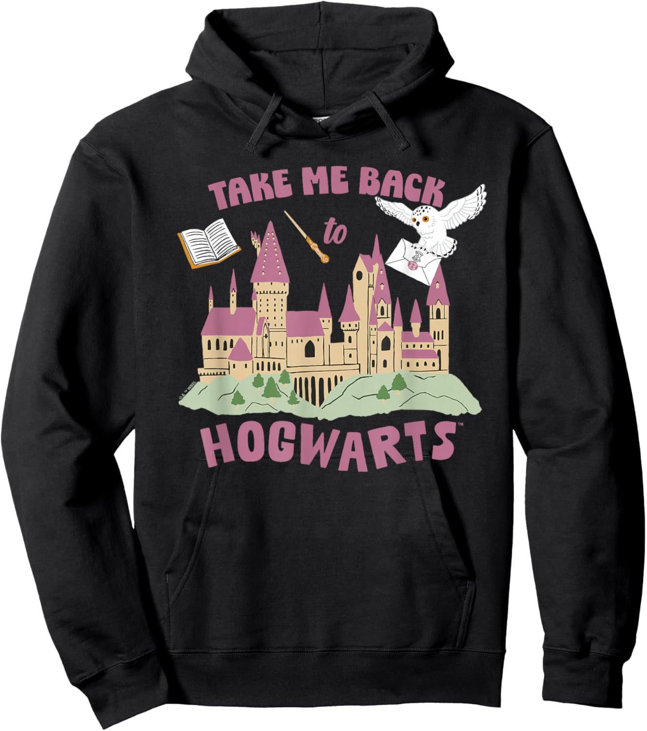 Harry Potter Take Me Back To Hogwarts Hoodie - Hoodie | Black