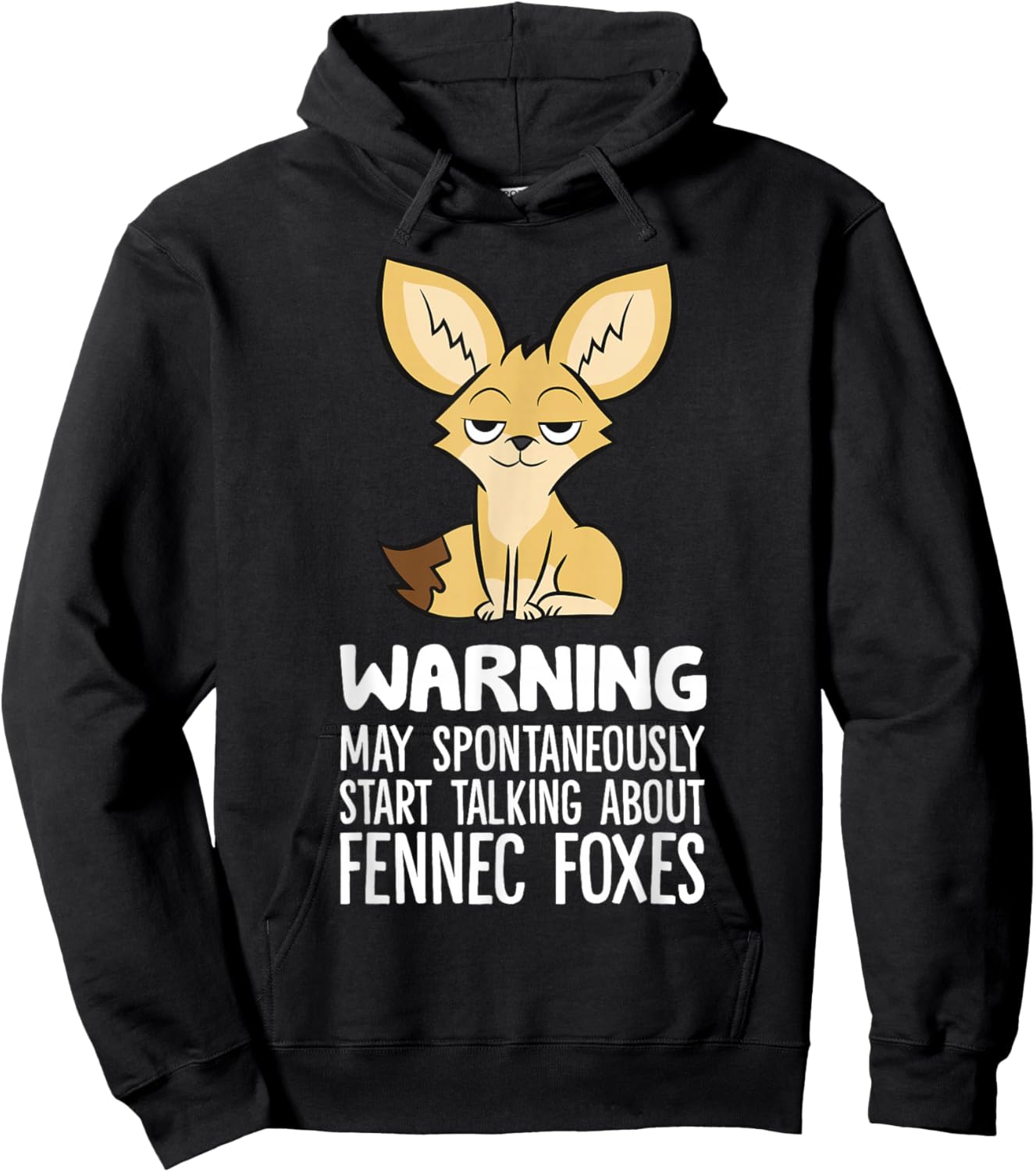 Warning May Spontaneously Talk About Fennec Foxes Hoodie - Hoodie | Black