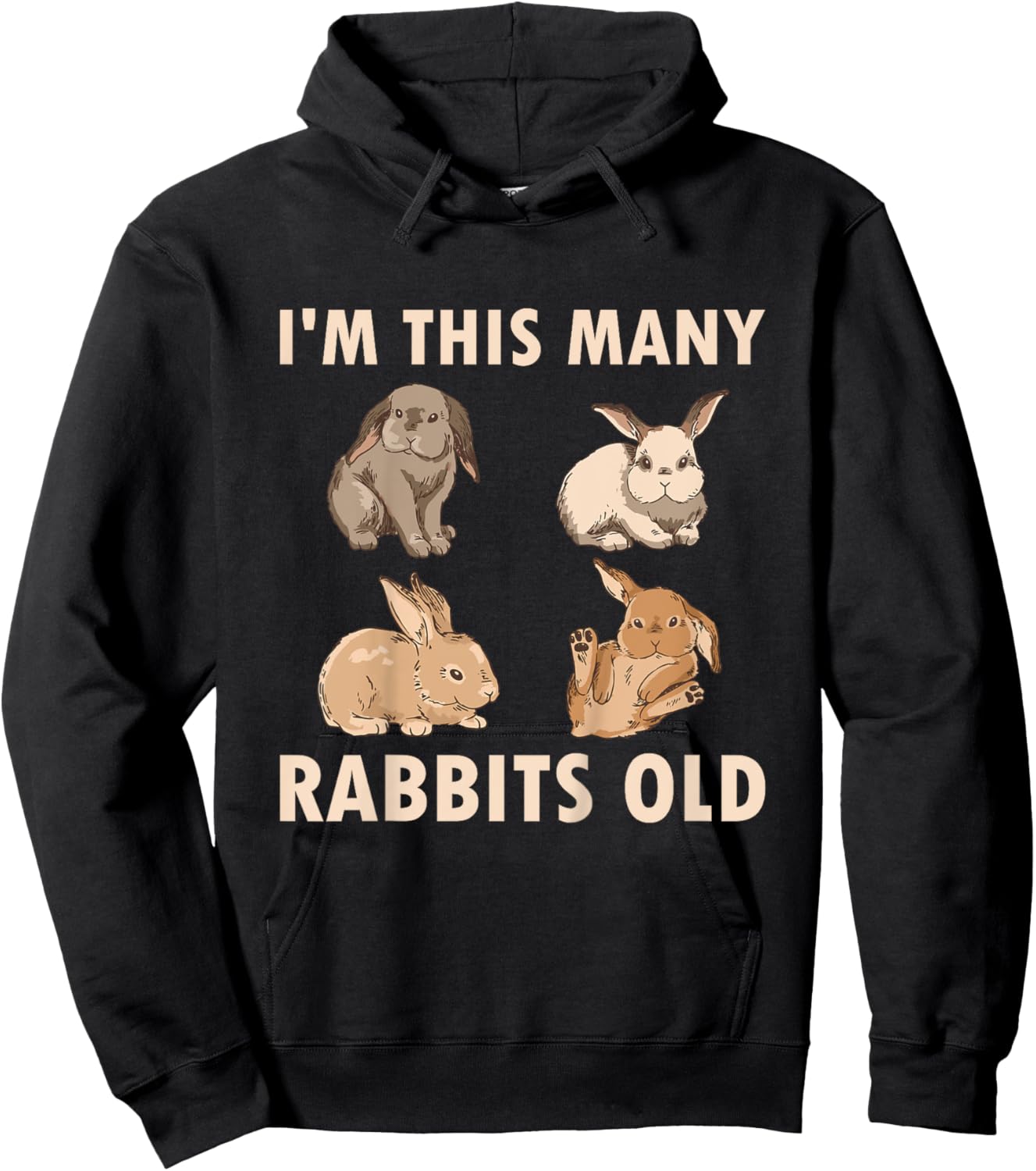 4 Year Old Bunny Rabbits Old 4th Birthday Hoodie - Hoodie | Black