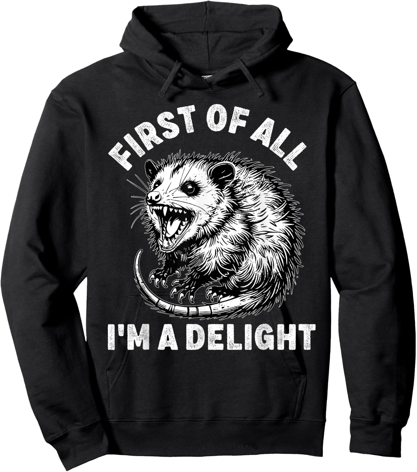 First of All I'm a Delight Men Women Funny Possum Possum Hoodie - Hoodie | Black