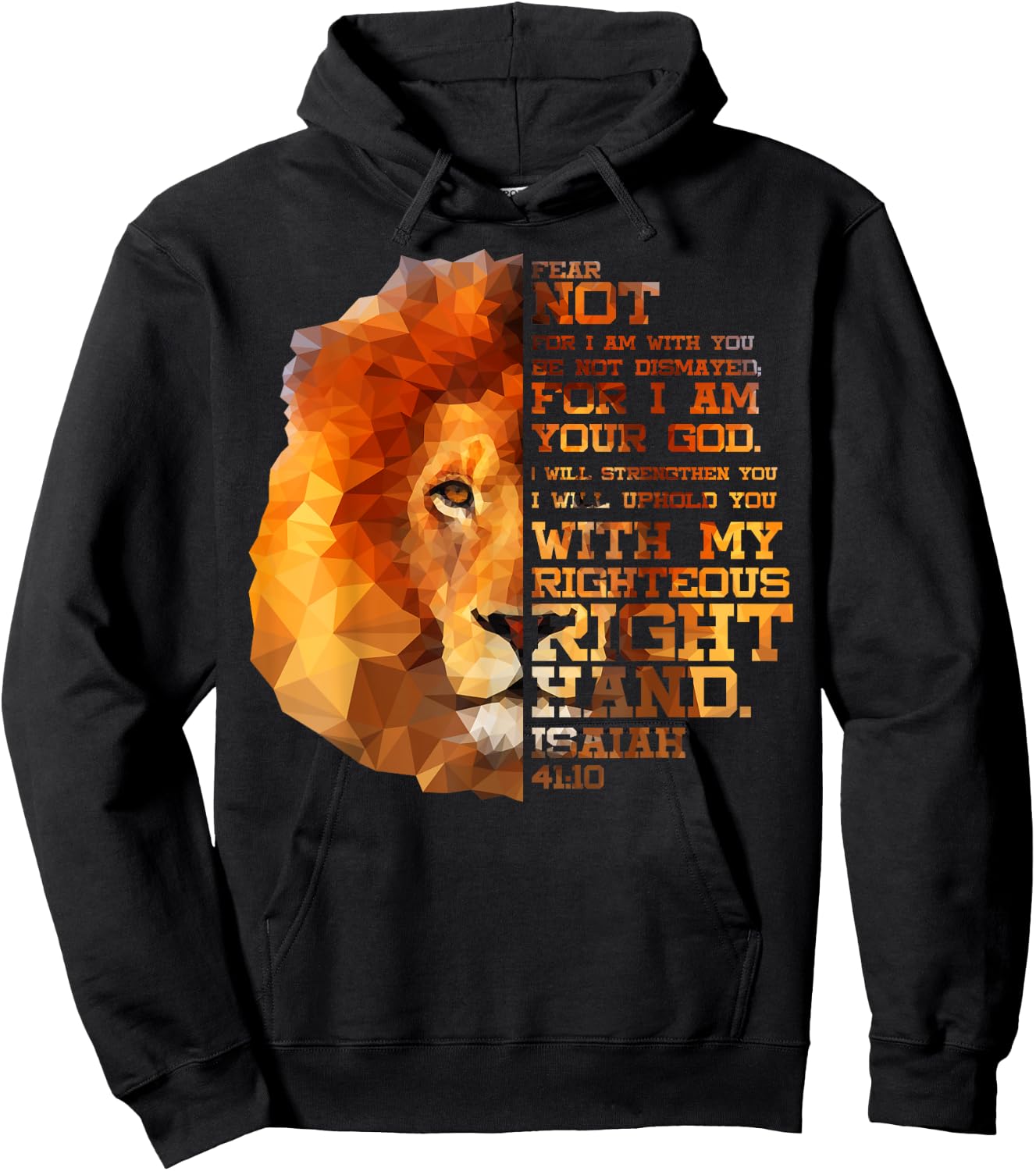 Isaiah 41:10 Bible Verse Lion Head Christian Birthday Gift Hoodie - Hoodie | Black