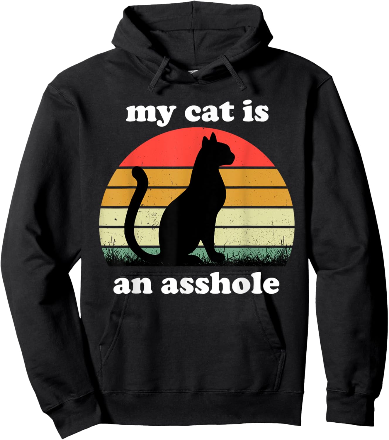 My Cat Is An Asshole | Funny Sarcastic Cat Saying Women Hoodie - Hoodie | Black