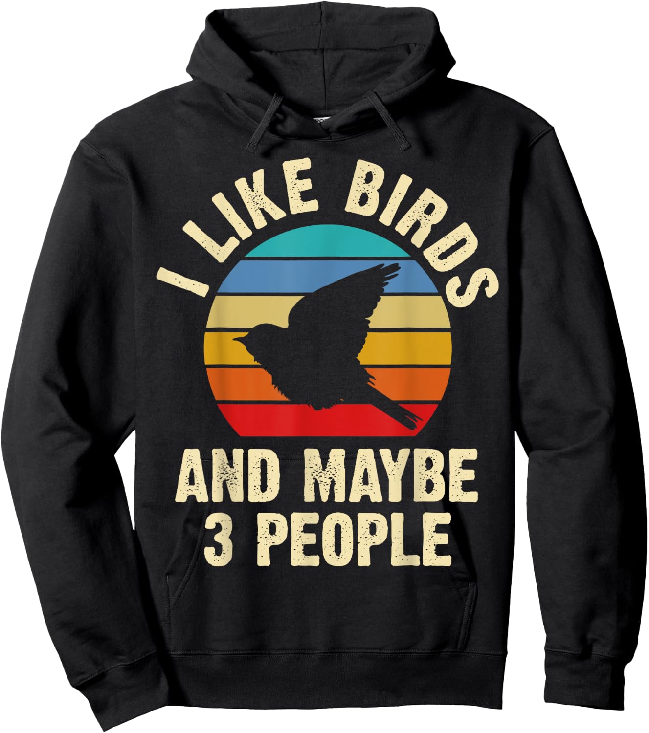 I like Birds and maybe 3 people funny vintage theme gift Hoodie - Hoodie | Black