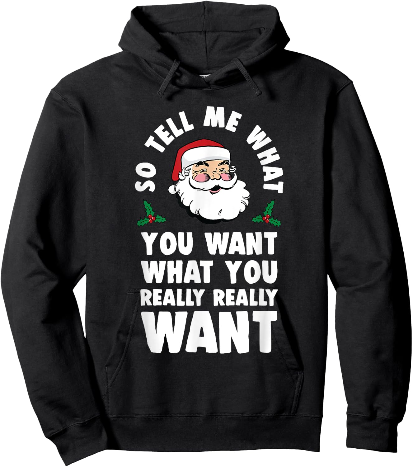 So Tell Me What You Want Funny Santa Parody Hoodie - Hoodie | Black