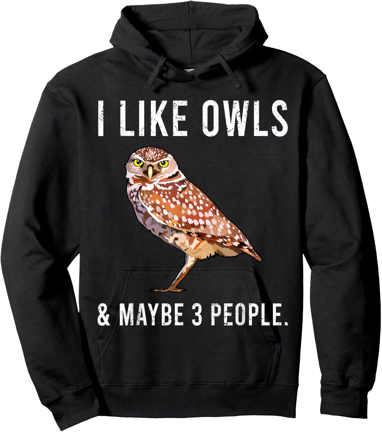 Funny I Like Burrowing Owls And Maybe 3 People Hoodie - Hoodie | Black