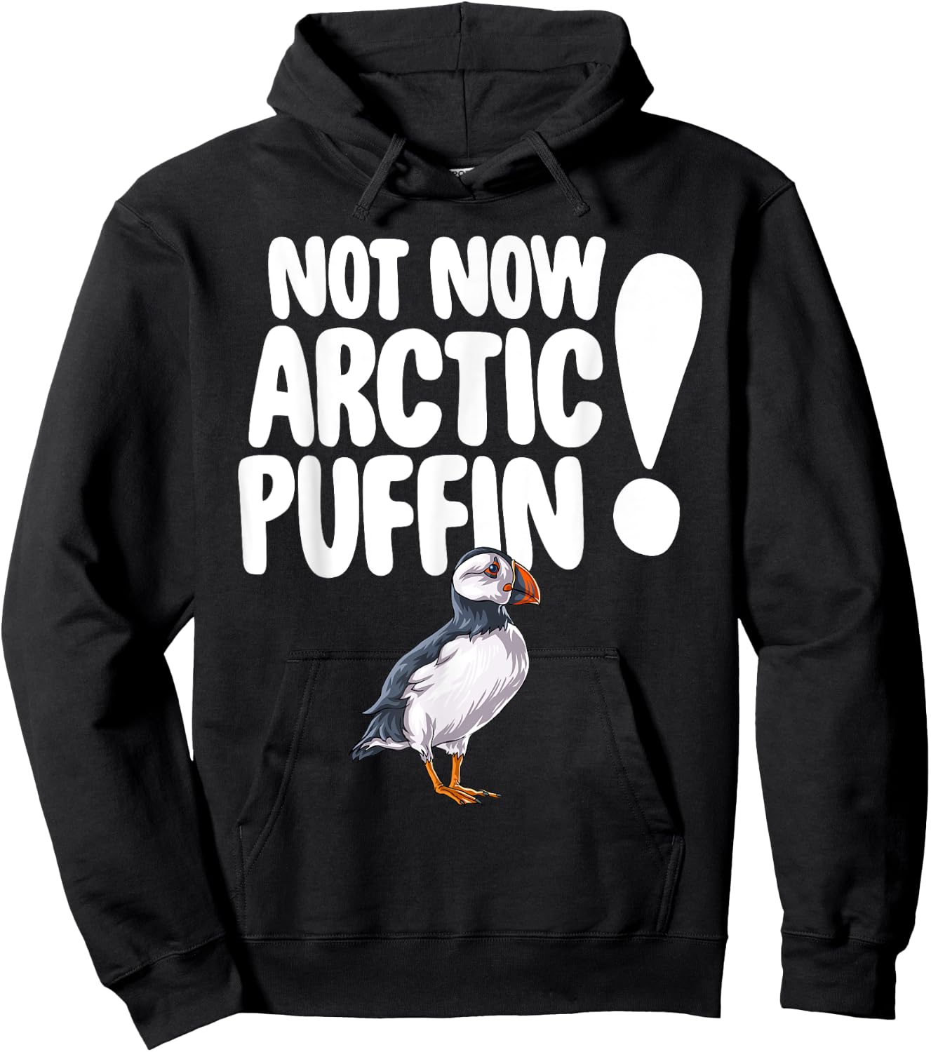 Not Now Arctic Puffin Bird Funny Animal Lover Gifts Hoodie - Hoodie | Black