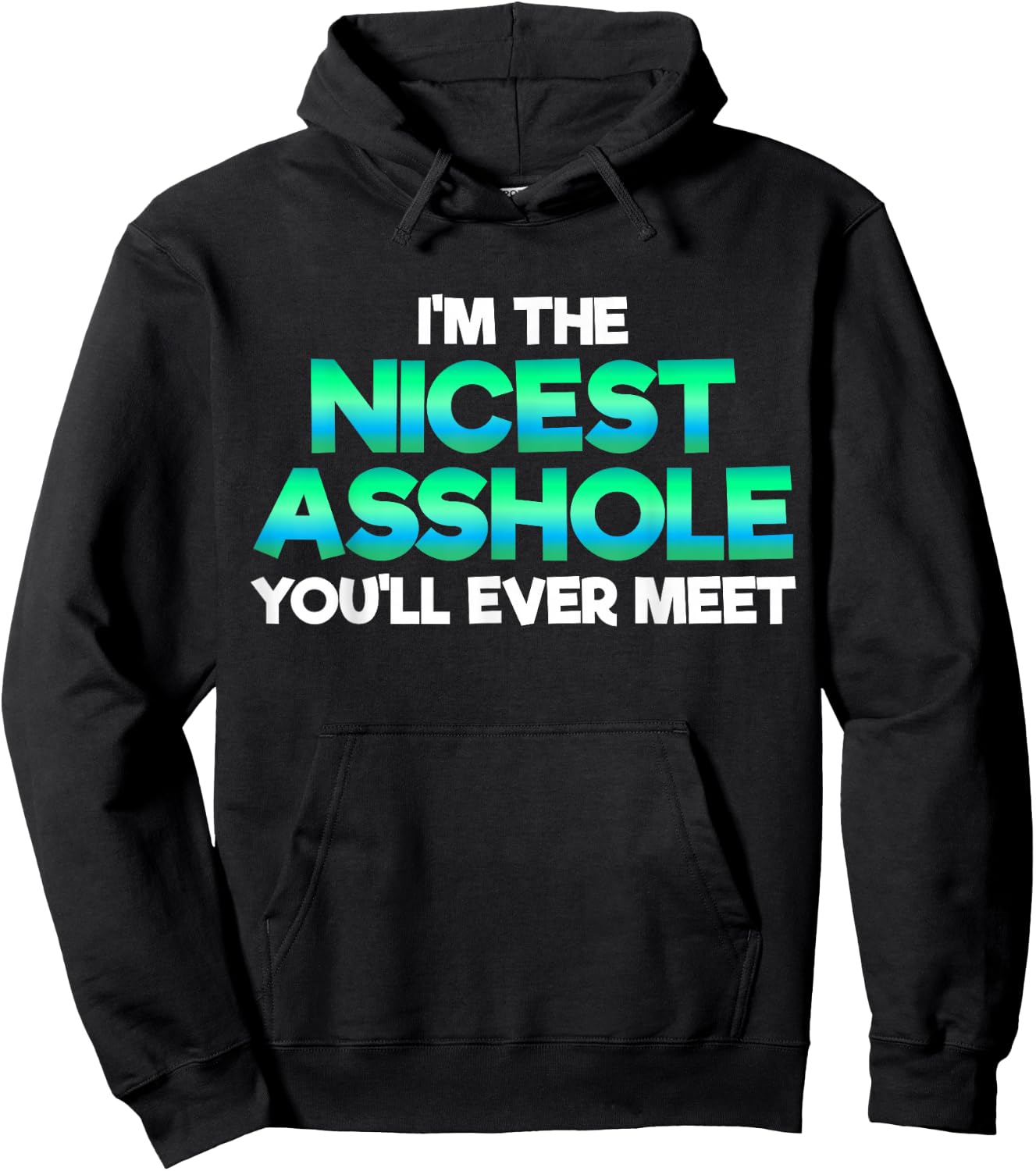 I'm The Nicest Asshole You'll Ever Meet Sarcastic Sexy Gift Hoodie - Hoodie | Black