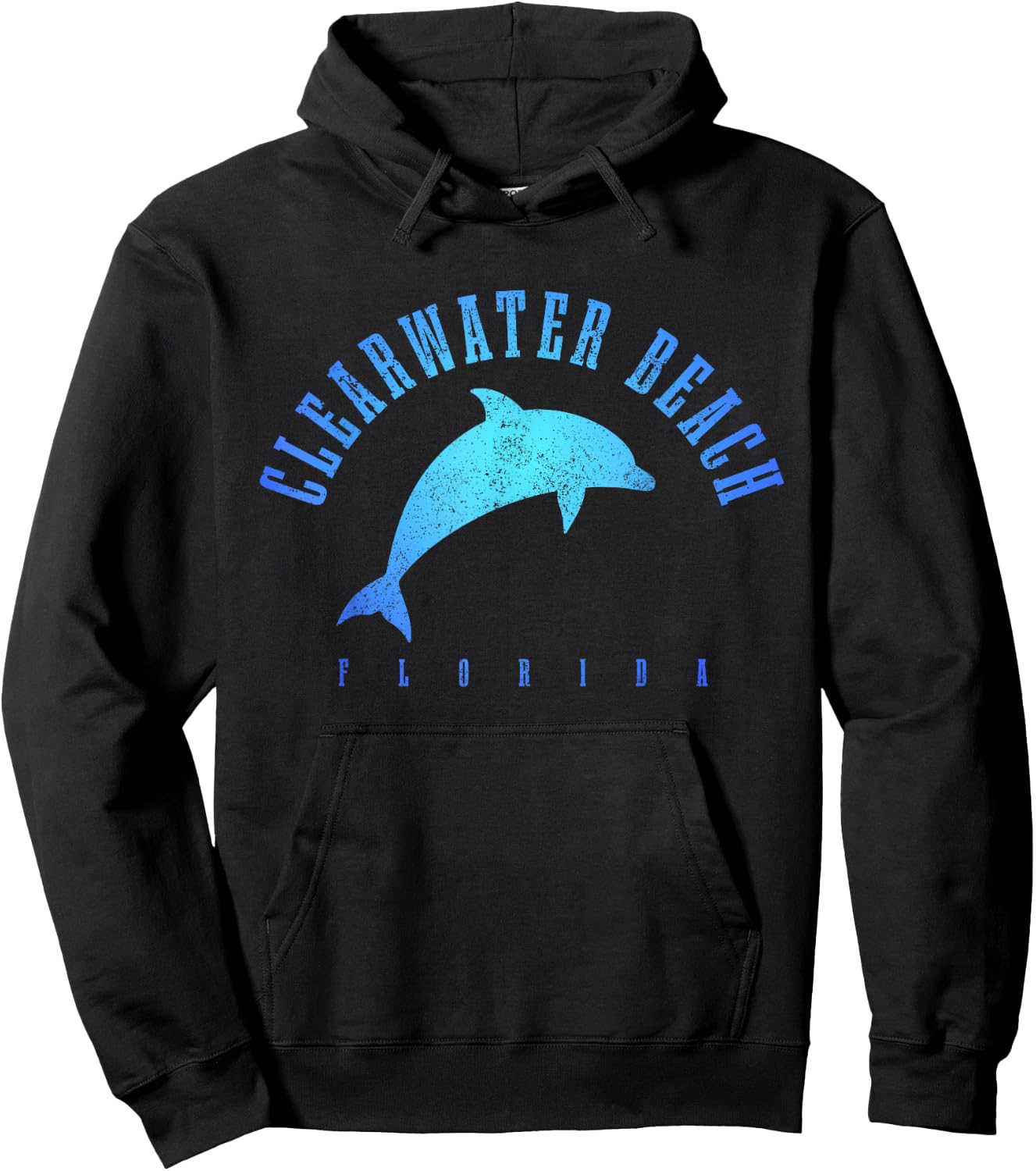 Clearwater Beach Florida FL Dolphin Vacation Souvenir Hoodie - Hoodie | Black