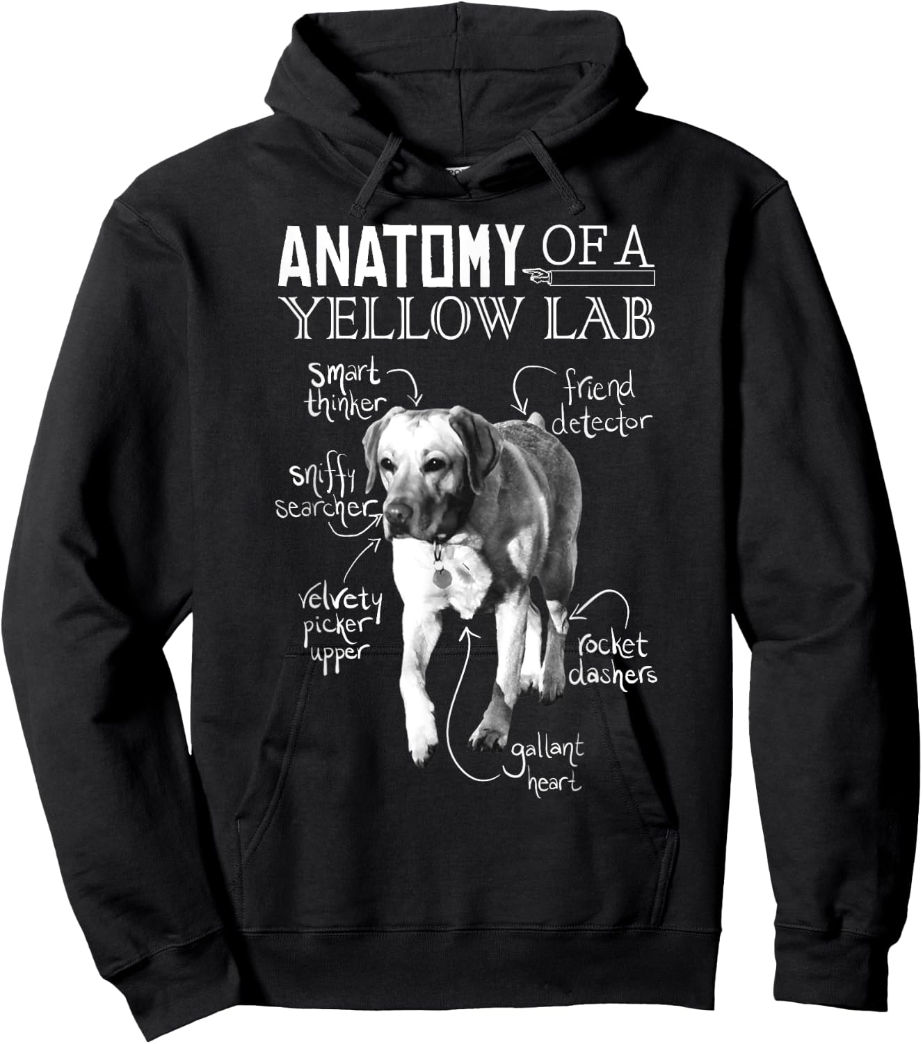 Anatomy of a Yellow Lab Chalkboard, Labrador Retriever Lover Hoodie - Hoodie | Black