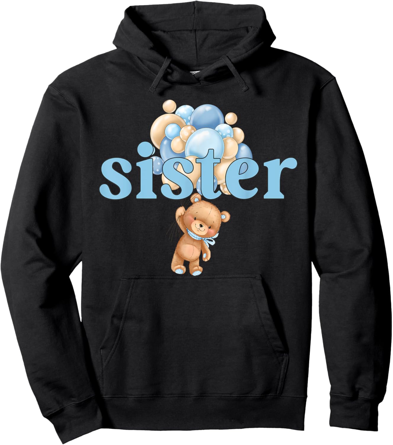 Sister Teddy Bear 1st Birthday Boy Family Matching Hoodie - Hoodie | Black