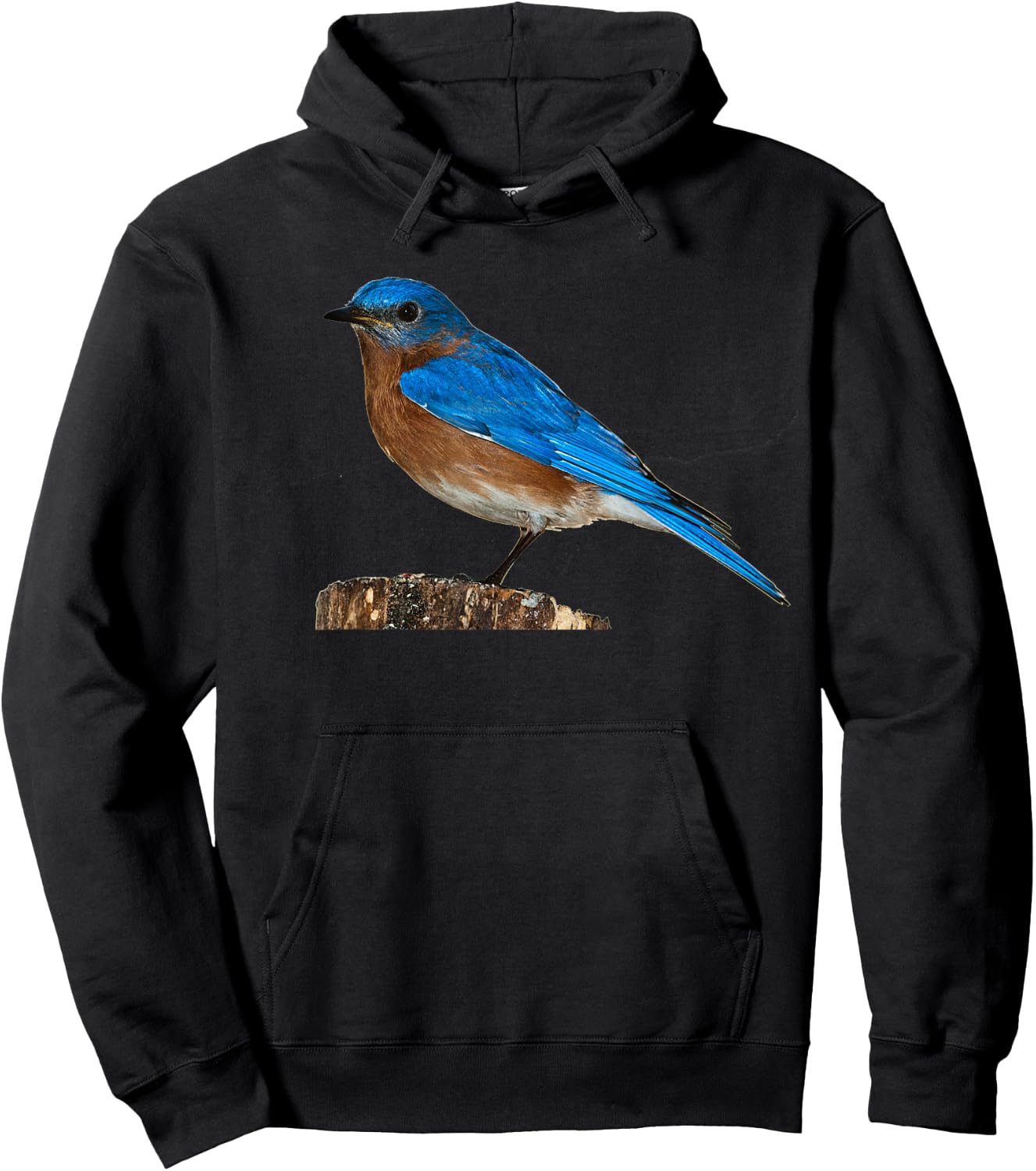 Bluebird Ornithology Bird Shirt Hoodie - Hoodie | Black