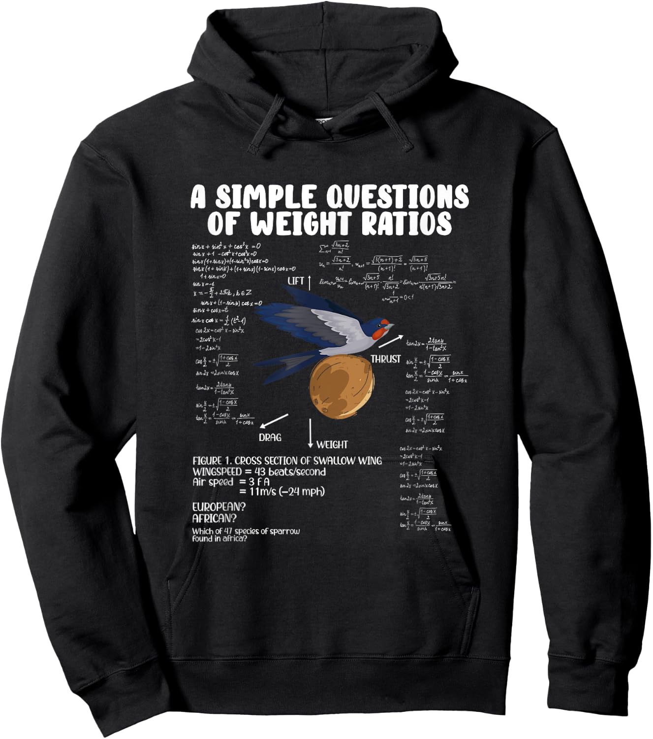 A Simple Question of Weight Ratios Math Teacher Men Women Hoodie - Hoodie | Black