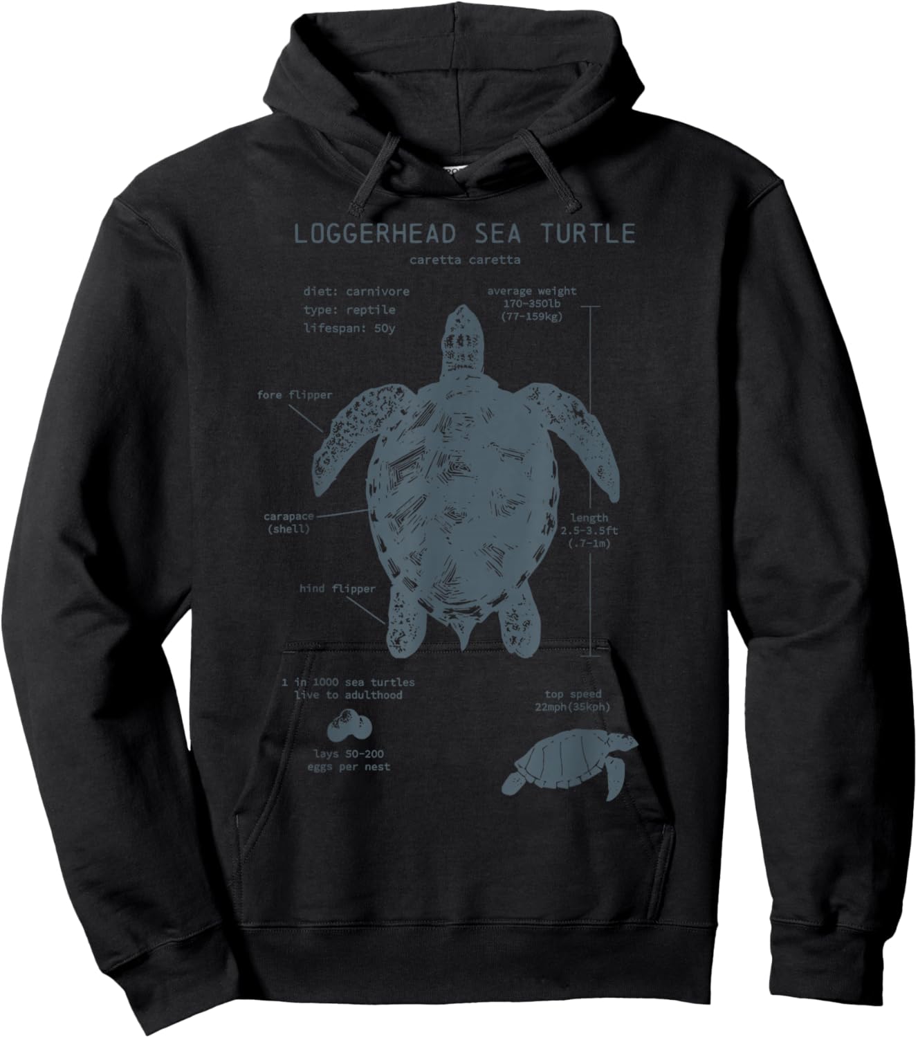Loggerhead Sea Turtle Anatomy Marine Biologist Vintage Hoodie - Hoodie | Black