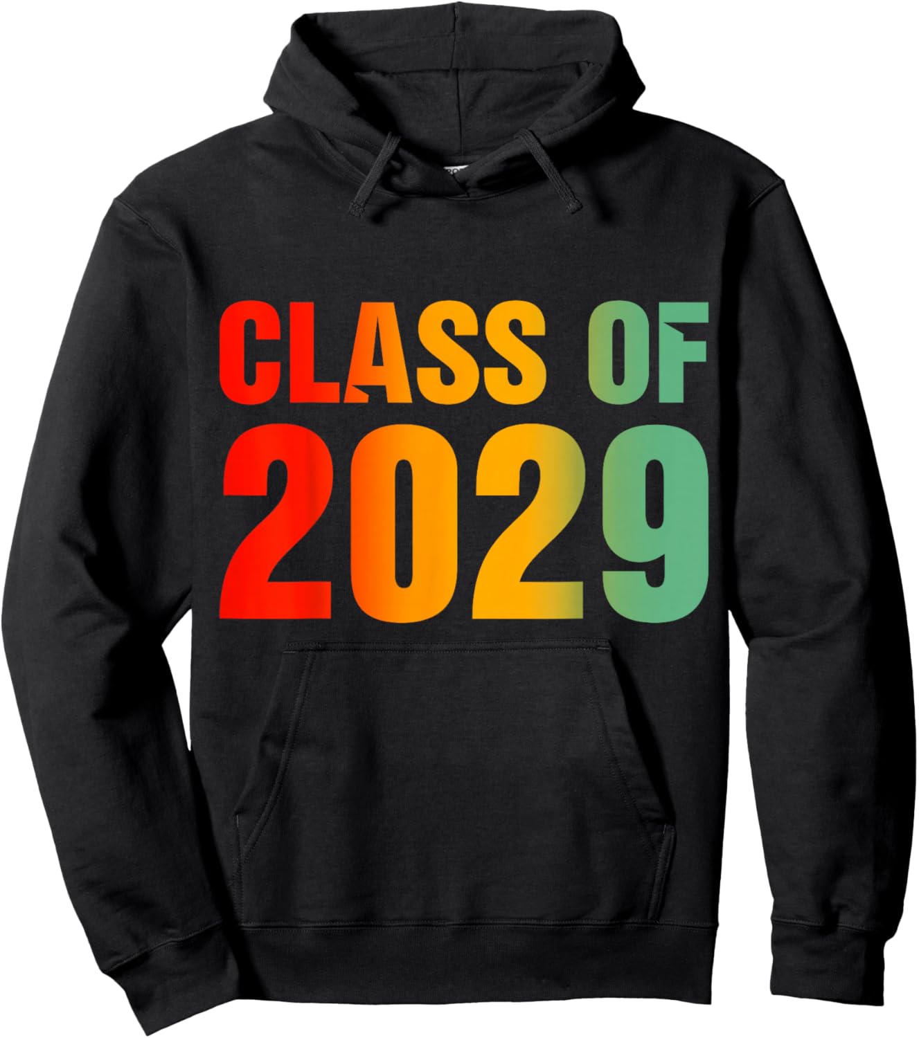 Class Of 2029 Grow With Me Graduation First Day Of School Hoodie - Hoodie | Black