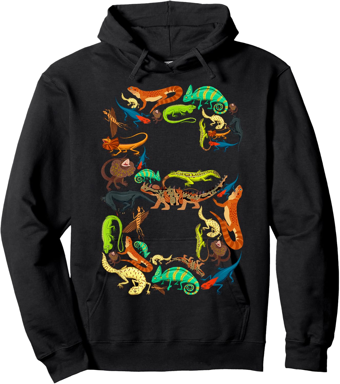Kids 6th Birthday Reptiles Lizards Theme 6 Year Old Boys Hoodie - Hoodie | Black