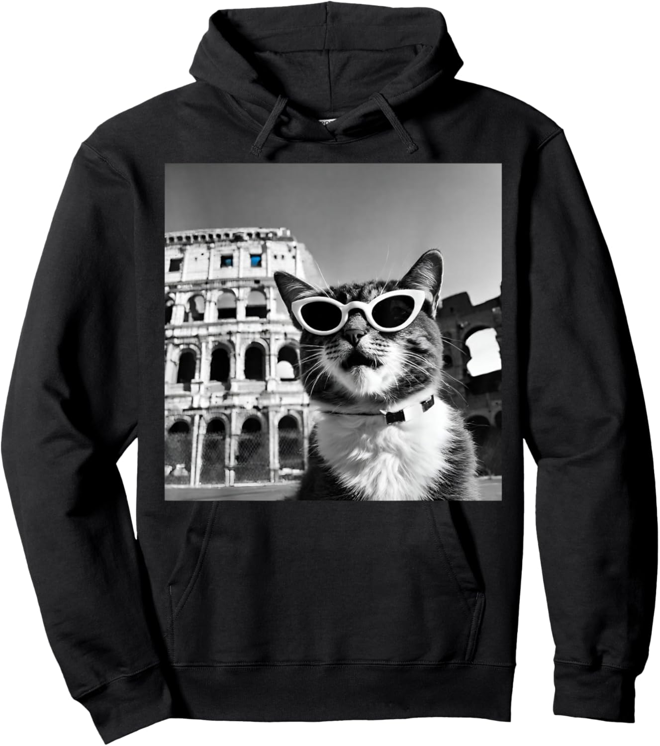 Funny Cat Wearing Sunglasses At The Roman Colosseum Hoodie - Hoodie | Black