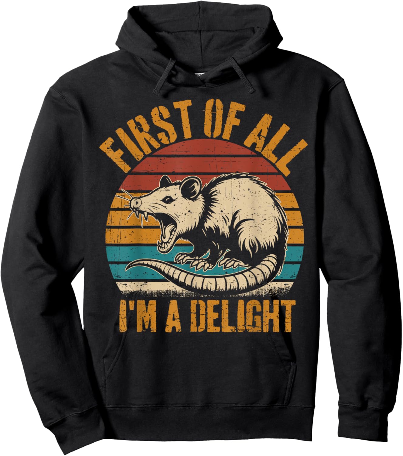 Opossum First Of All Im A Delight Possum Gifts Women Hoodie - Hoodie | Black