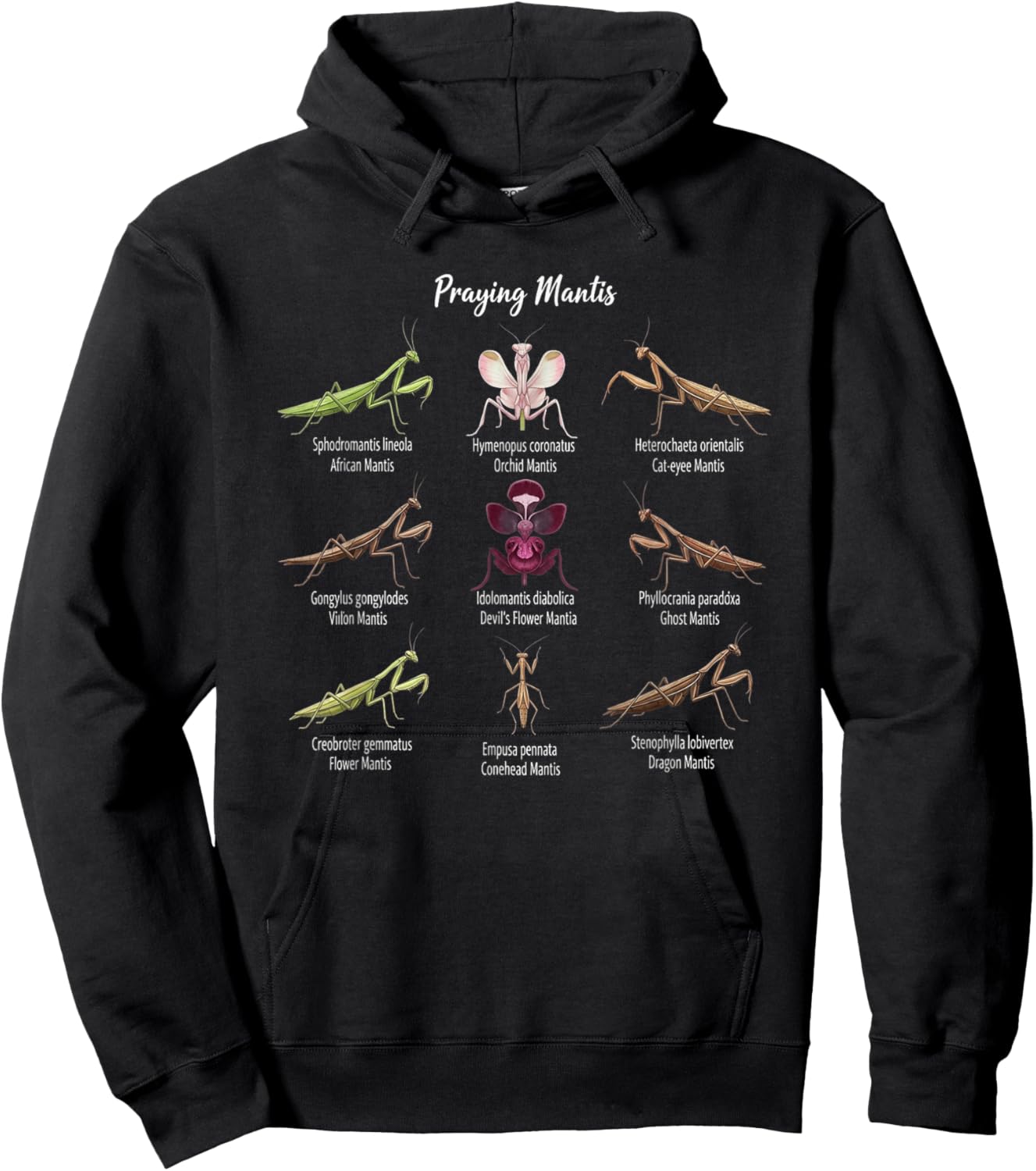 Types Of Praying Mantis Insect Collector Entomologist Hoodie - Hoodie | Black